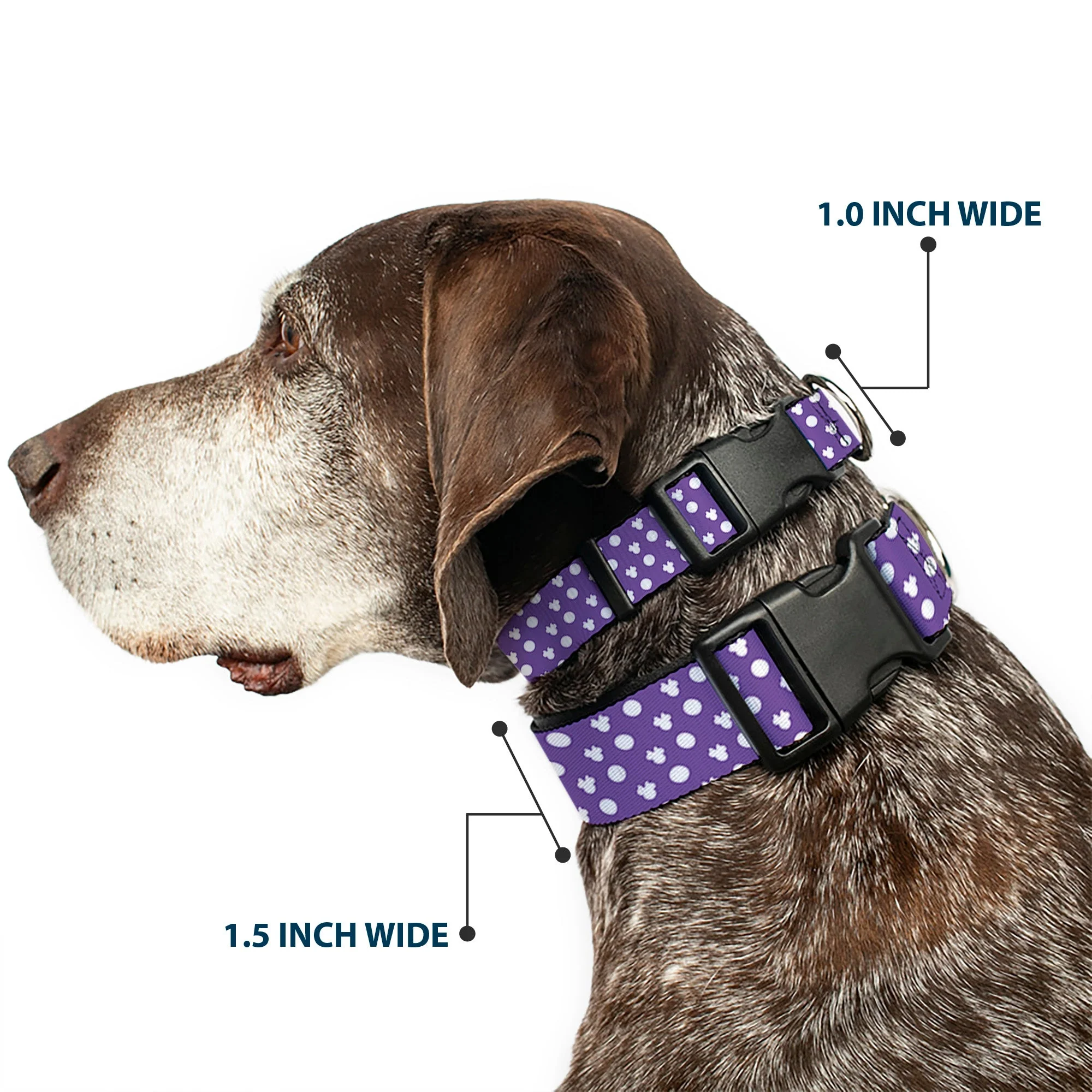 Plastic Clip Collar - Minnie Mouse Ears Monogram/Dots Purple/White - Image 2