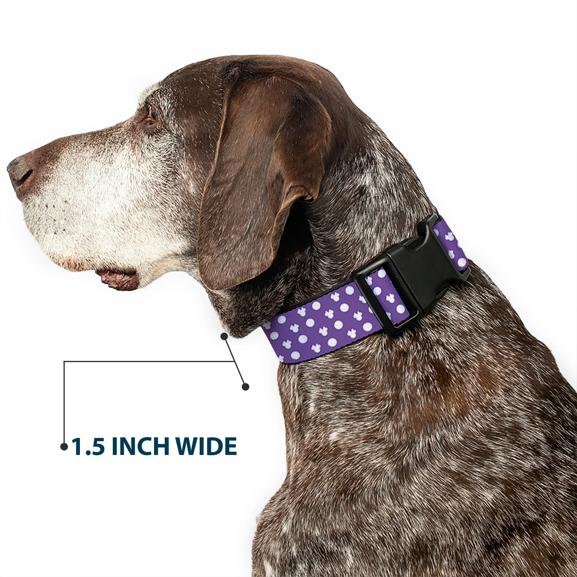 Plastic Clip Collar - Minnie Mouse Ears Monogram/Dots Purple/White - Image 7