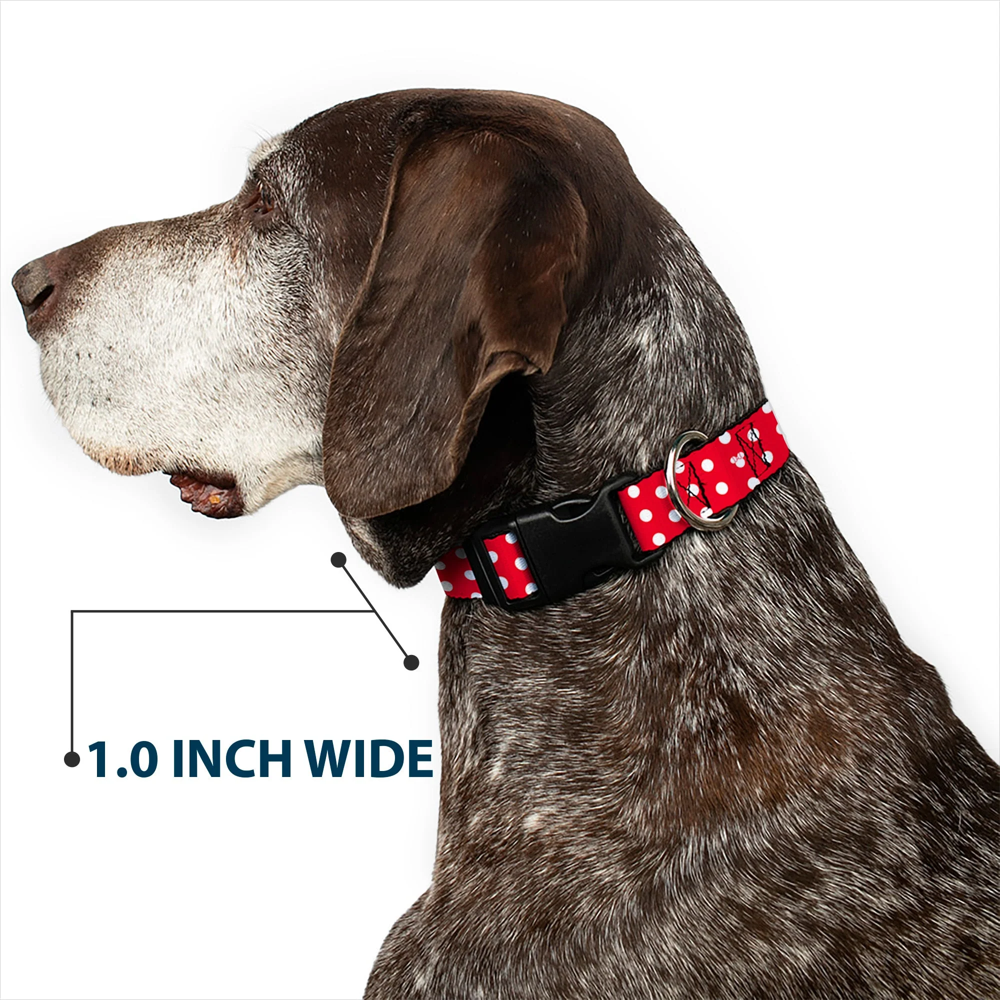 Plastic Clip Collar - Minnie Mouse Polka Dot/Mini Silhouette Red/White - Image 6