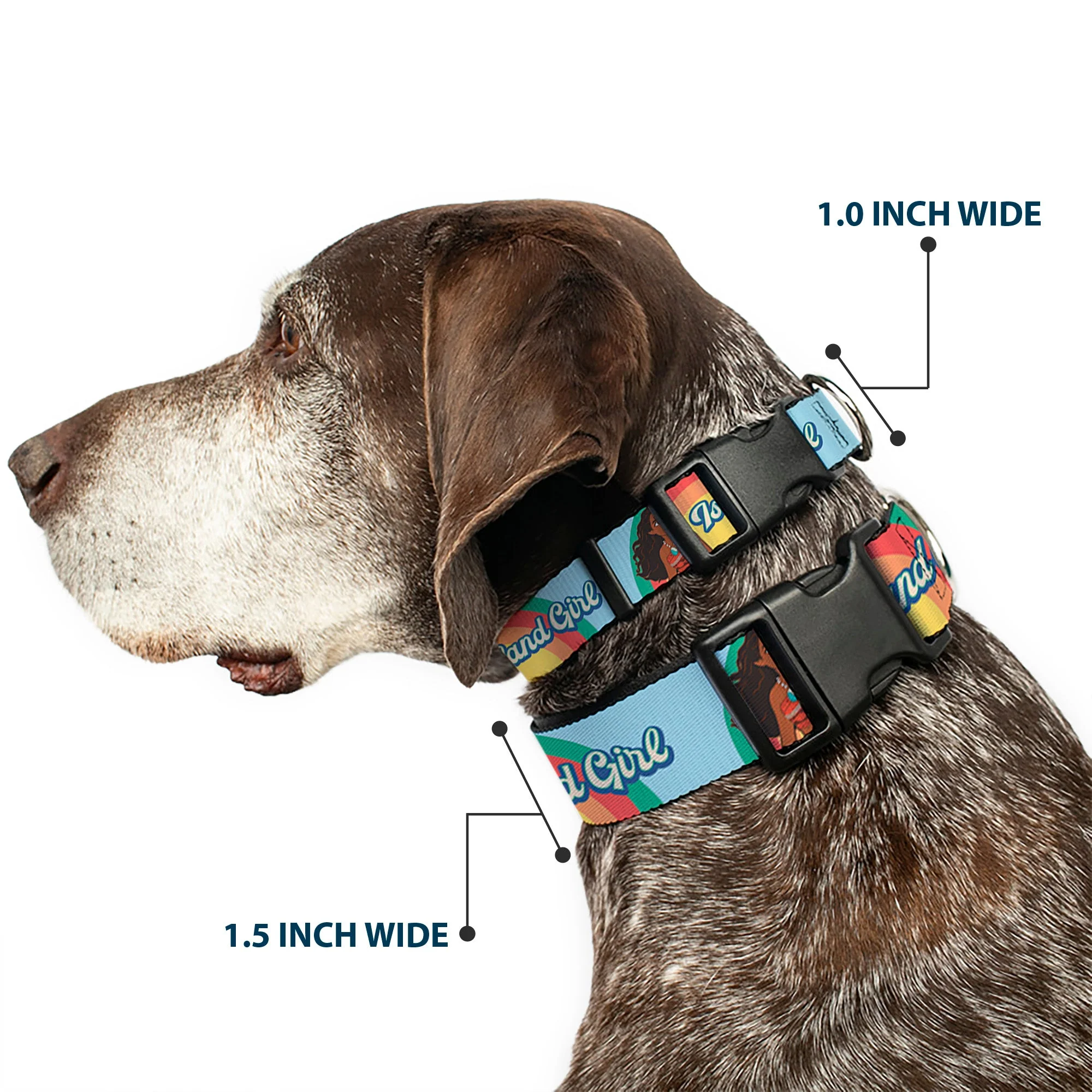Plastic Clip Collar - Moana ISLAND GIRL Rainbow Pose Blue/Multi Color - Image 2