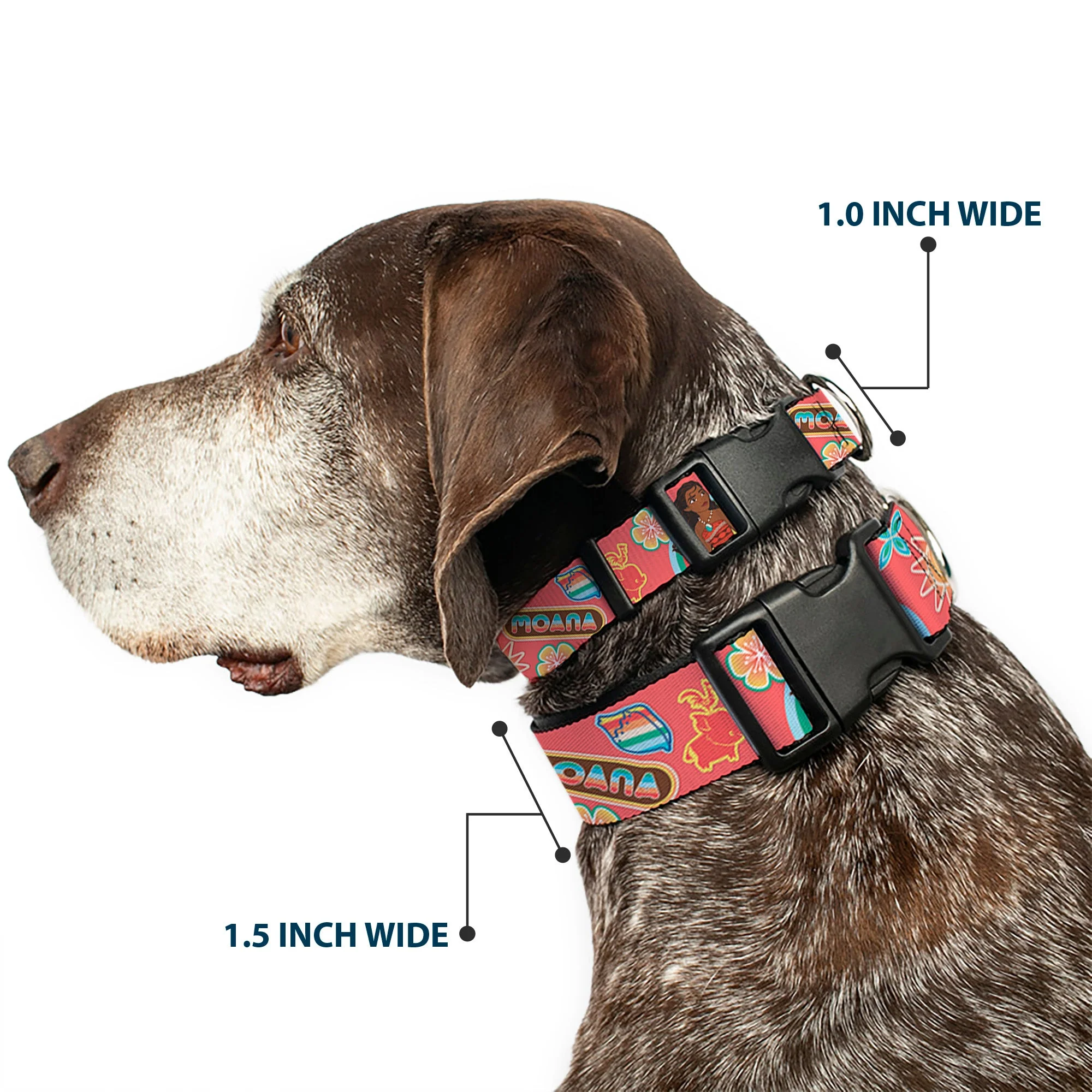 Plastic Clip Collar - Moana Pose and Icons Collage Pink - Image 2