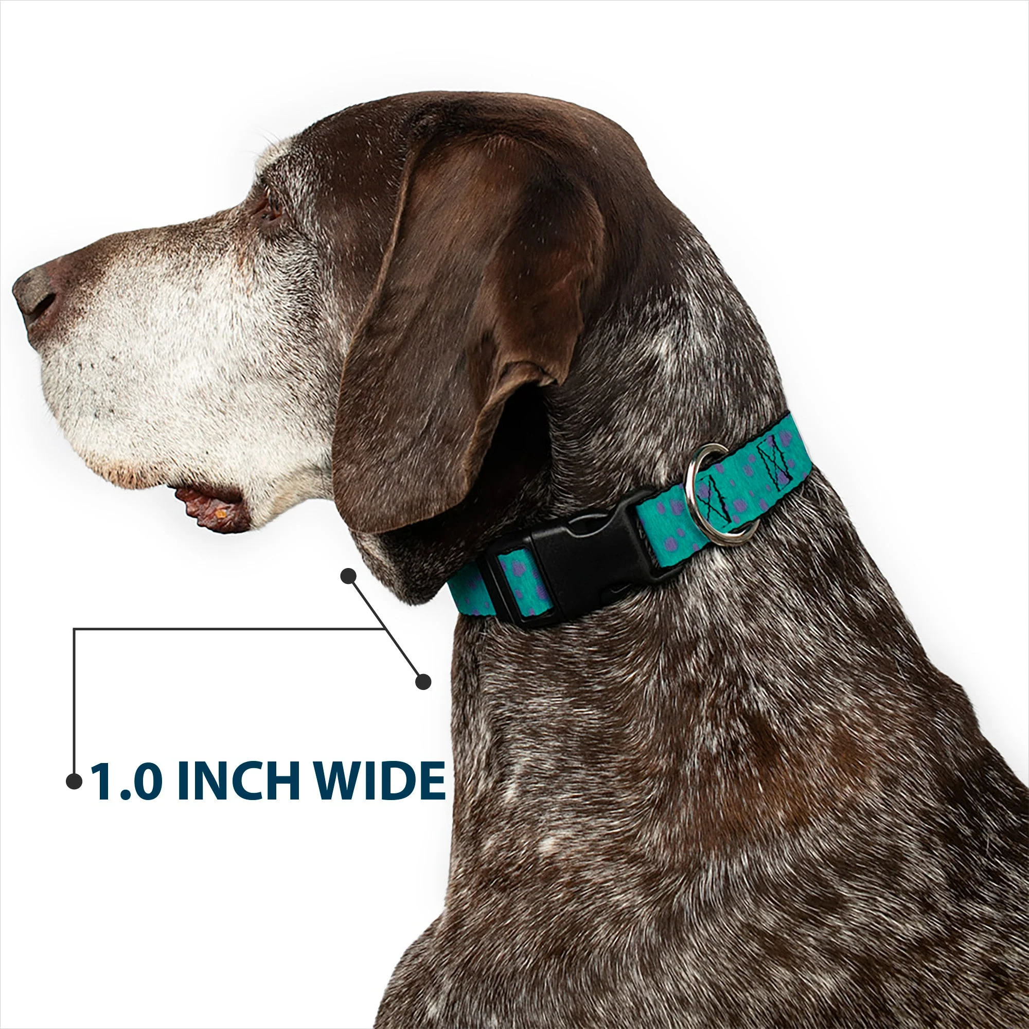 Plastic Clip Collar - Monsters Inc. Sulley Bounding Spots Blue/Purple - Image 6