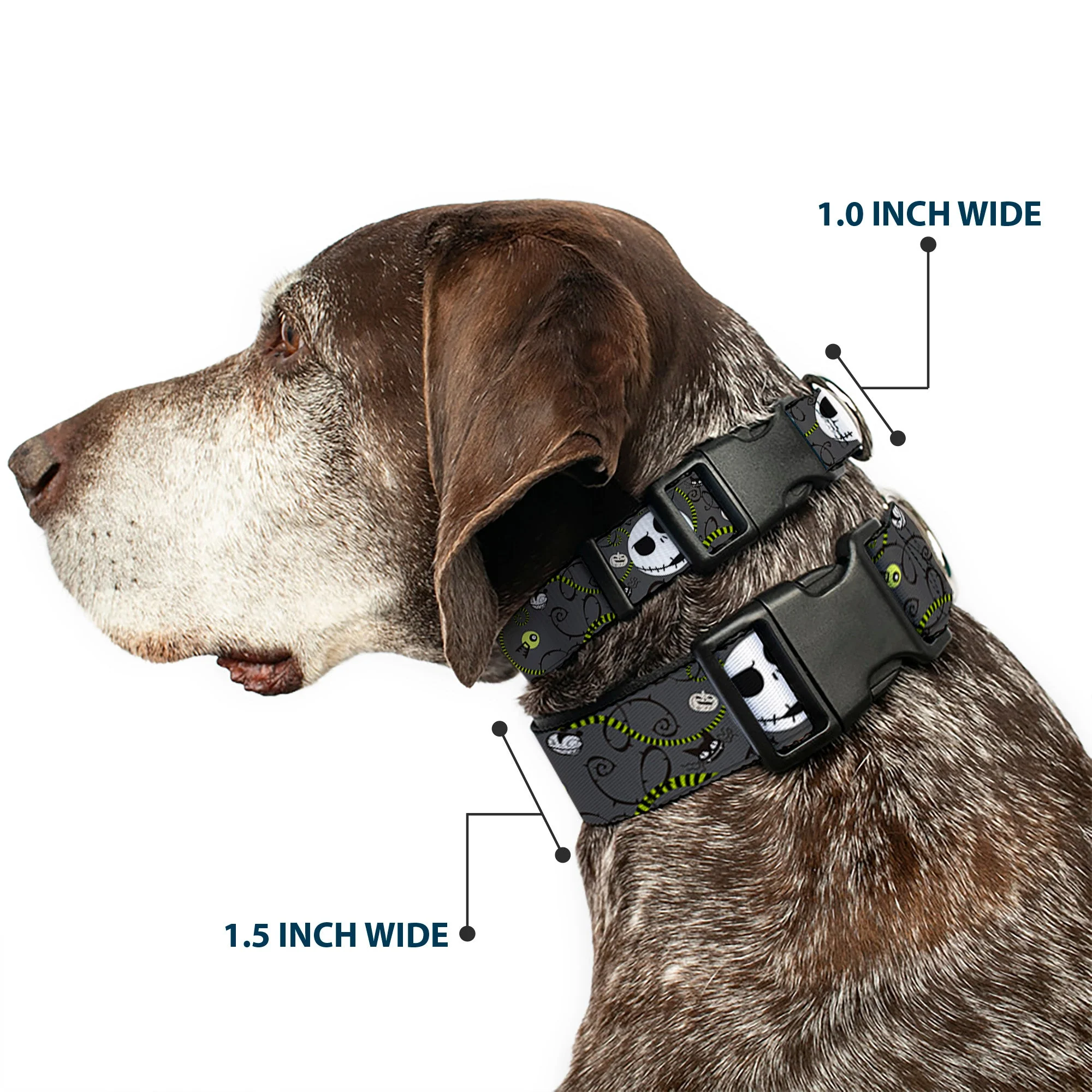 Plastic Clip Collar - NBC Jack Expressions/Halloween Elements Gray - Image 2