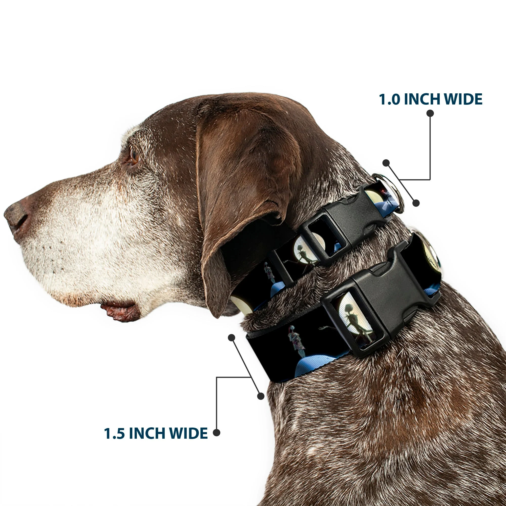 Plastic Clip Collar - NBC Jack & Sally Moon Scenes - Image 2