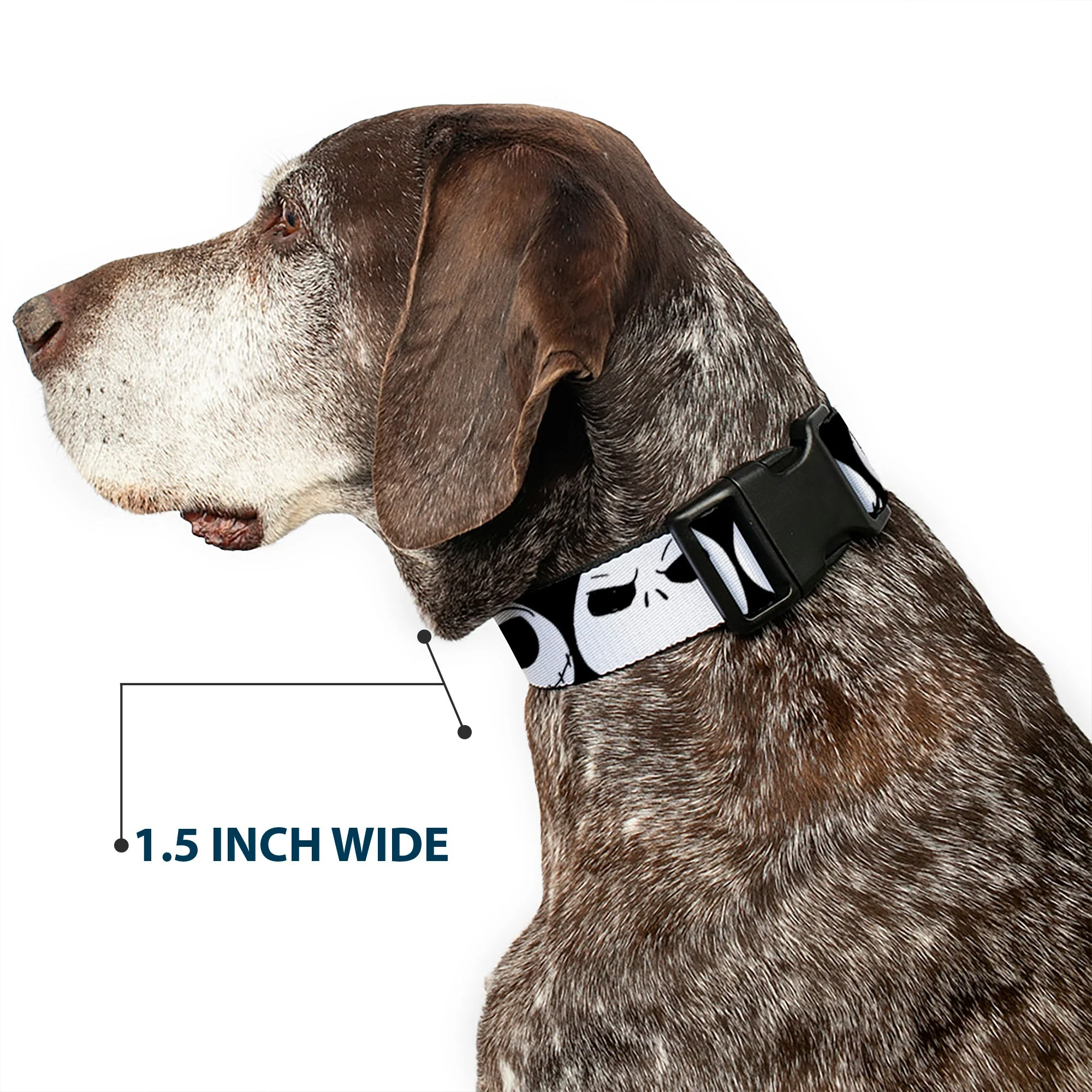 Plastic Clip Collar - Nightmare Before Christmas 7-Jack Expressions CLOSE-UP Black/White - Image 7