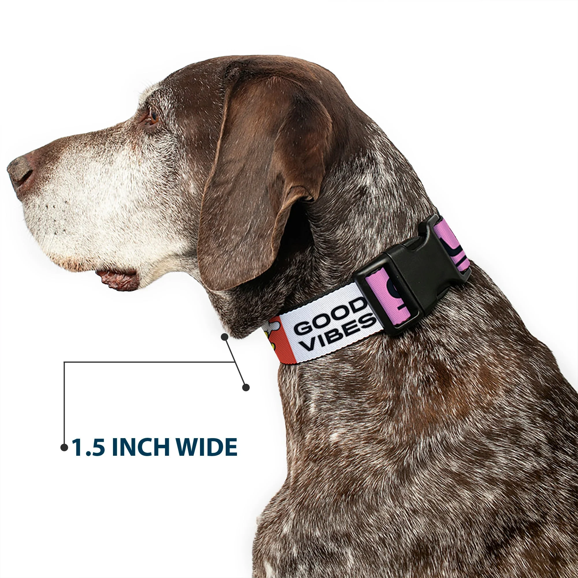 Plastic Clip Collar - Sensational Six GOOD VIBES CLUB Pose Blocks Multi Color - Image 7