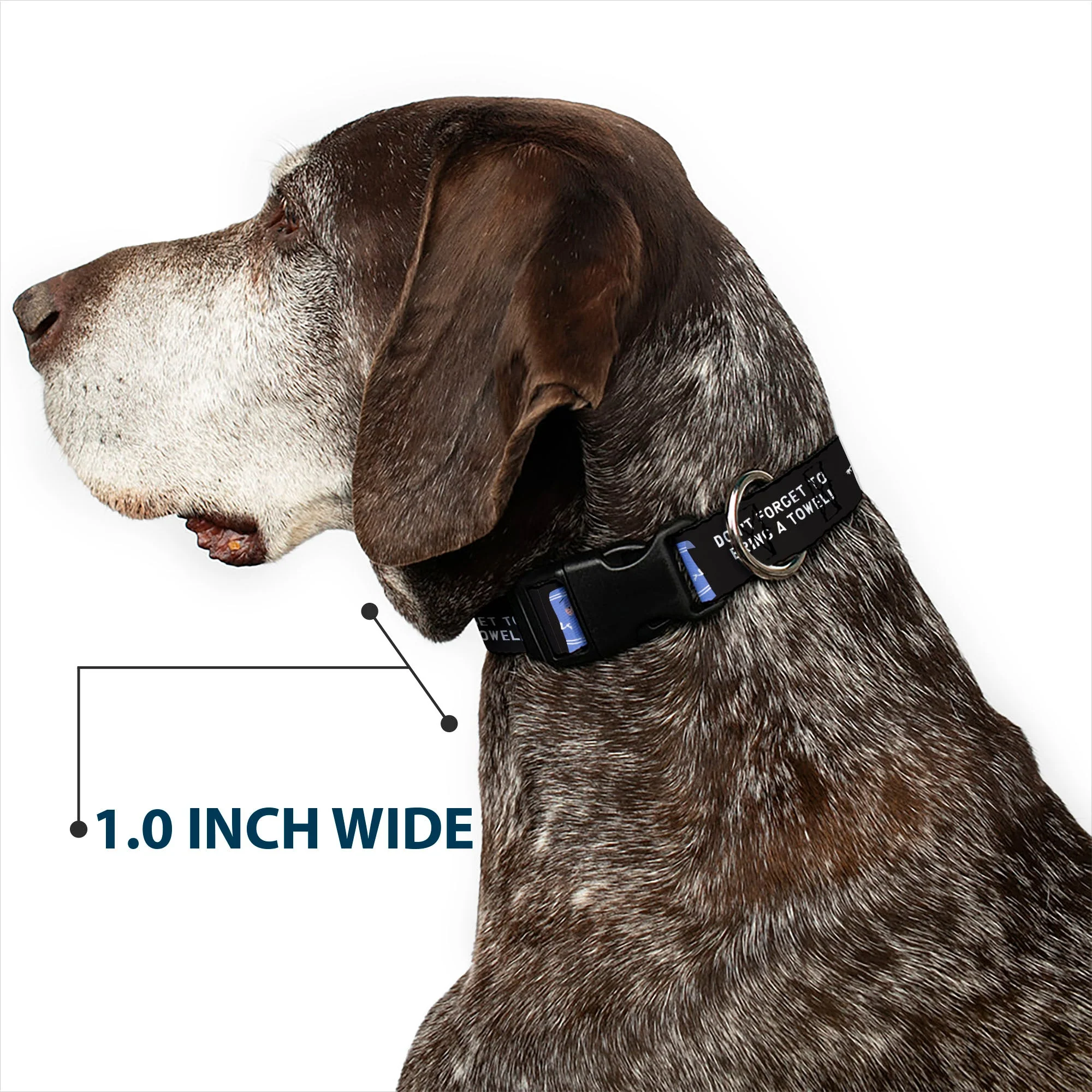 Plastic Clip Collar - South Park Towlie DON’T FORGET TO BRING A TOWEL Pose Black - Image 6