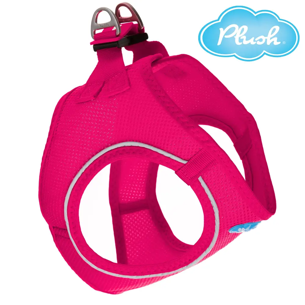 Step-In Dog Harness - Peacock Air Mesh - Image 2