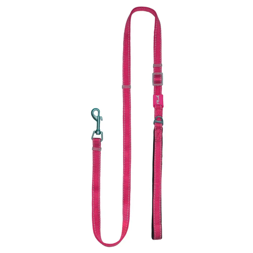 Step-In Dog Harness - Peacock Air Mesh - Image 3