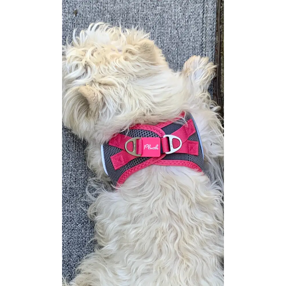 Step-In Dog Harness - Shark Grey/Pink Air Mesh - Image 2