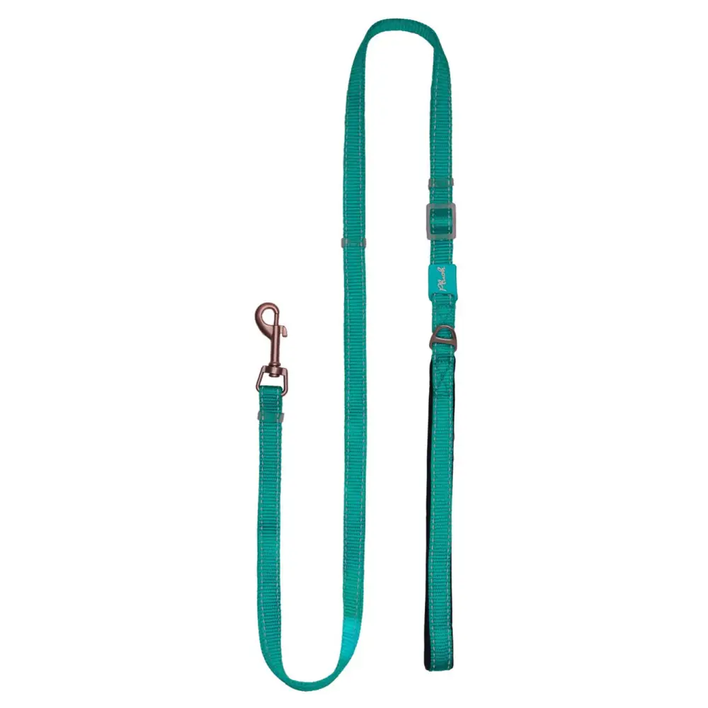 Step-In Dog Harness - Turquoise Air Mesh - Image 3