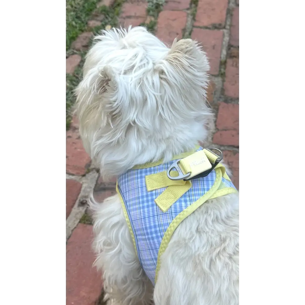 Step-In Dog Harness - Spring Plaid Plaid - Image 3