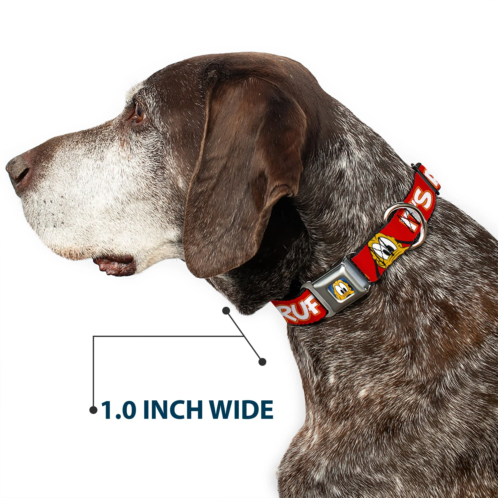 Pluto Face CLOSE-UP Full Color Blue Seatbelt Buckle Collar - Pluto 2-Pose ITS A RUFF LIFE Red/Yellow/White - Image 6