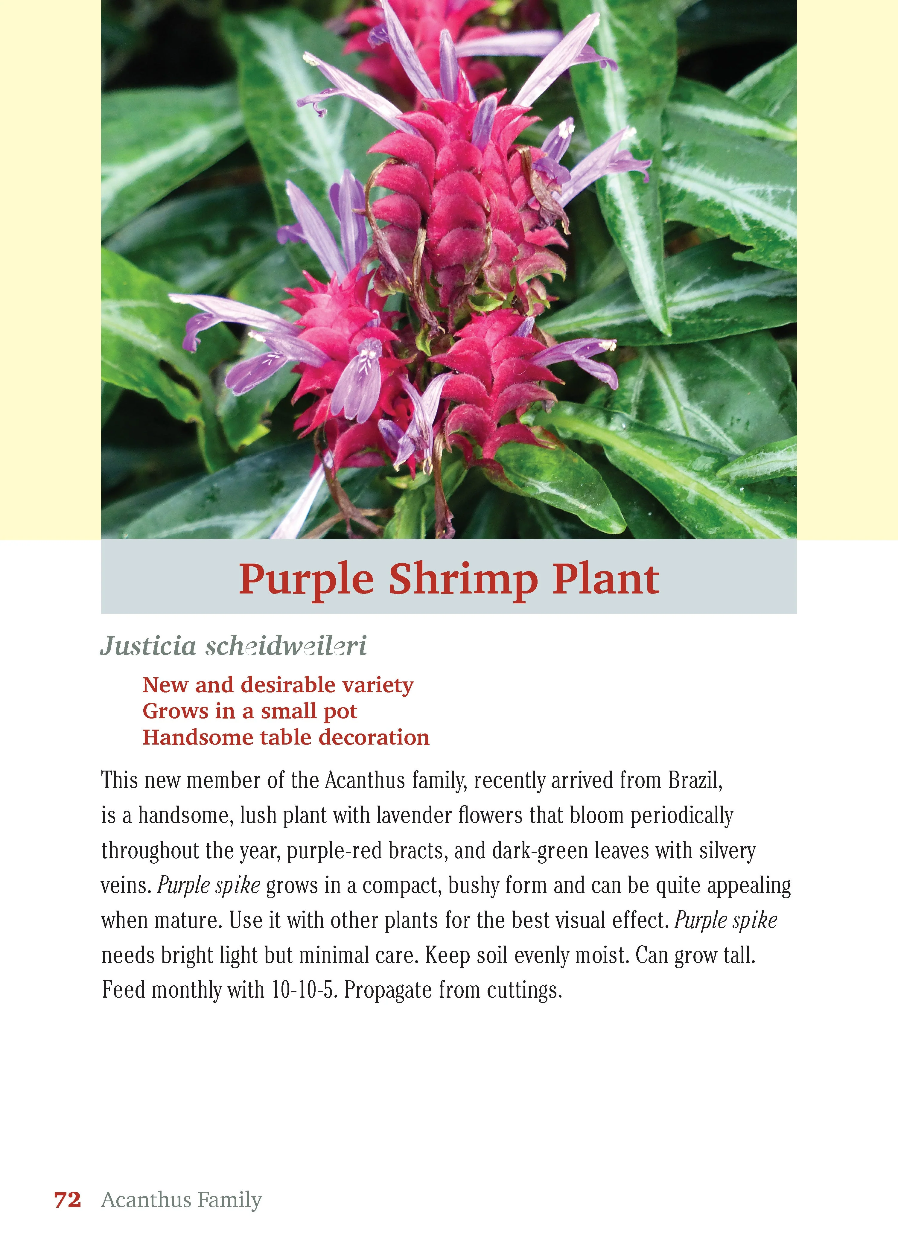Pocket Guide to Houseplants - Image 4