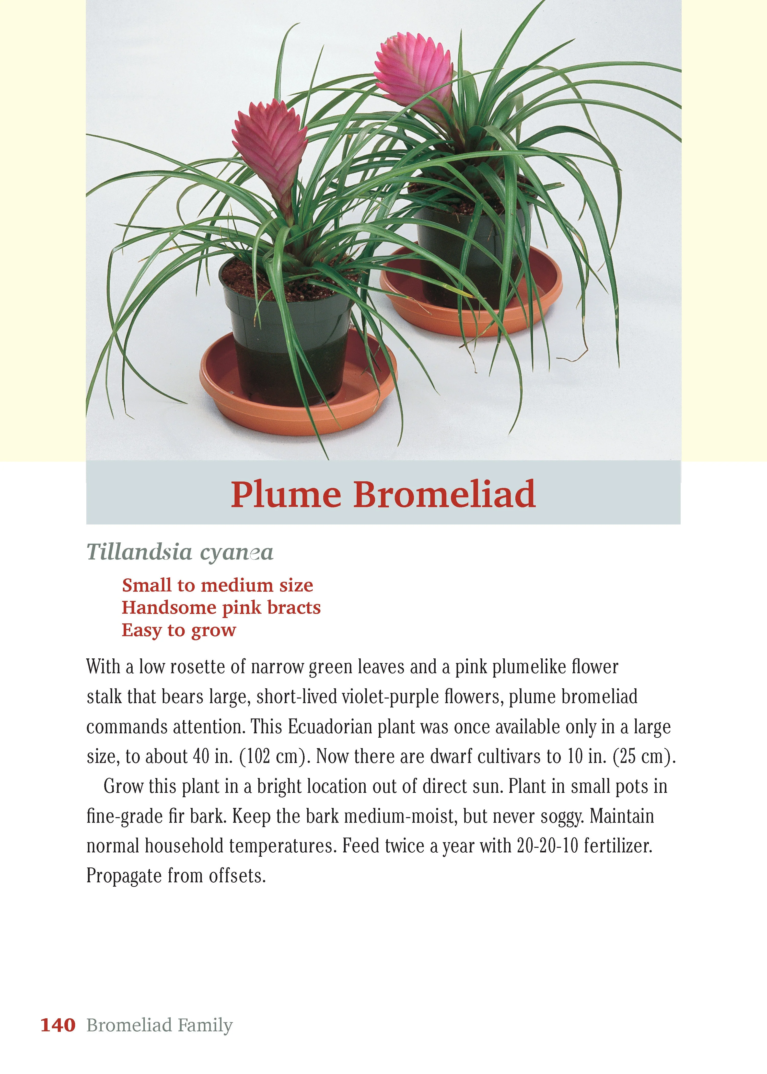 Pocket Guide to Houseplants - Image 9