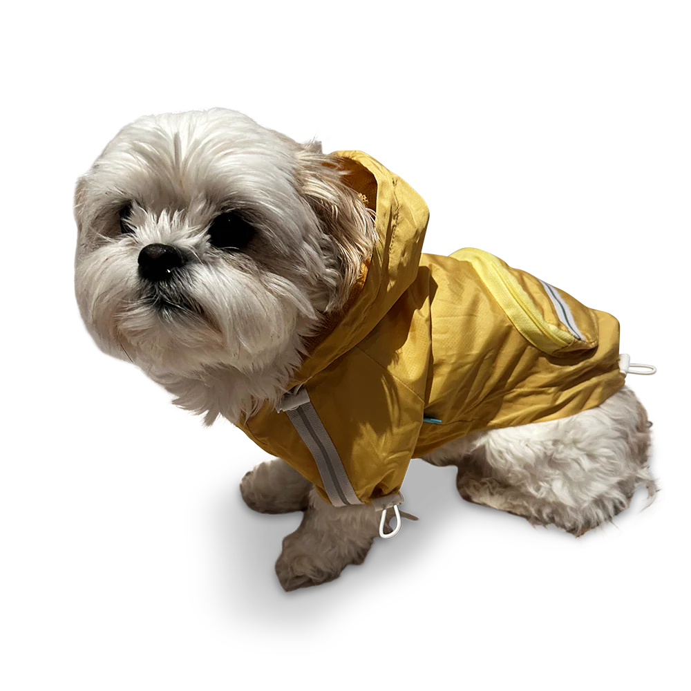 Pocket Raincoat Pastel - Image 12
