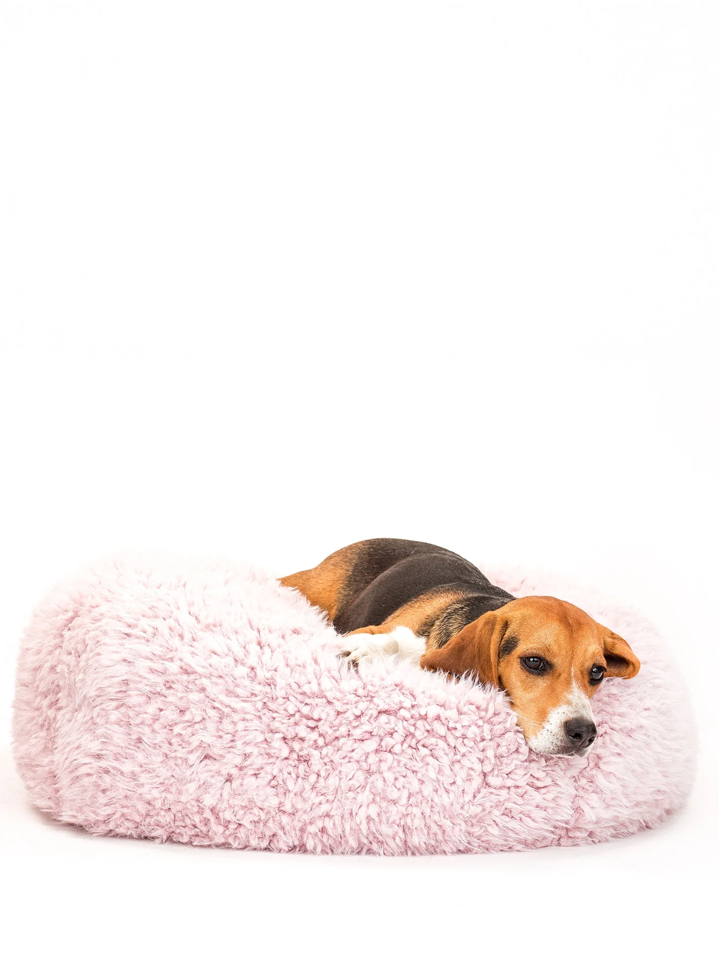 POD DOG BED - Image 12