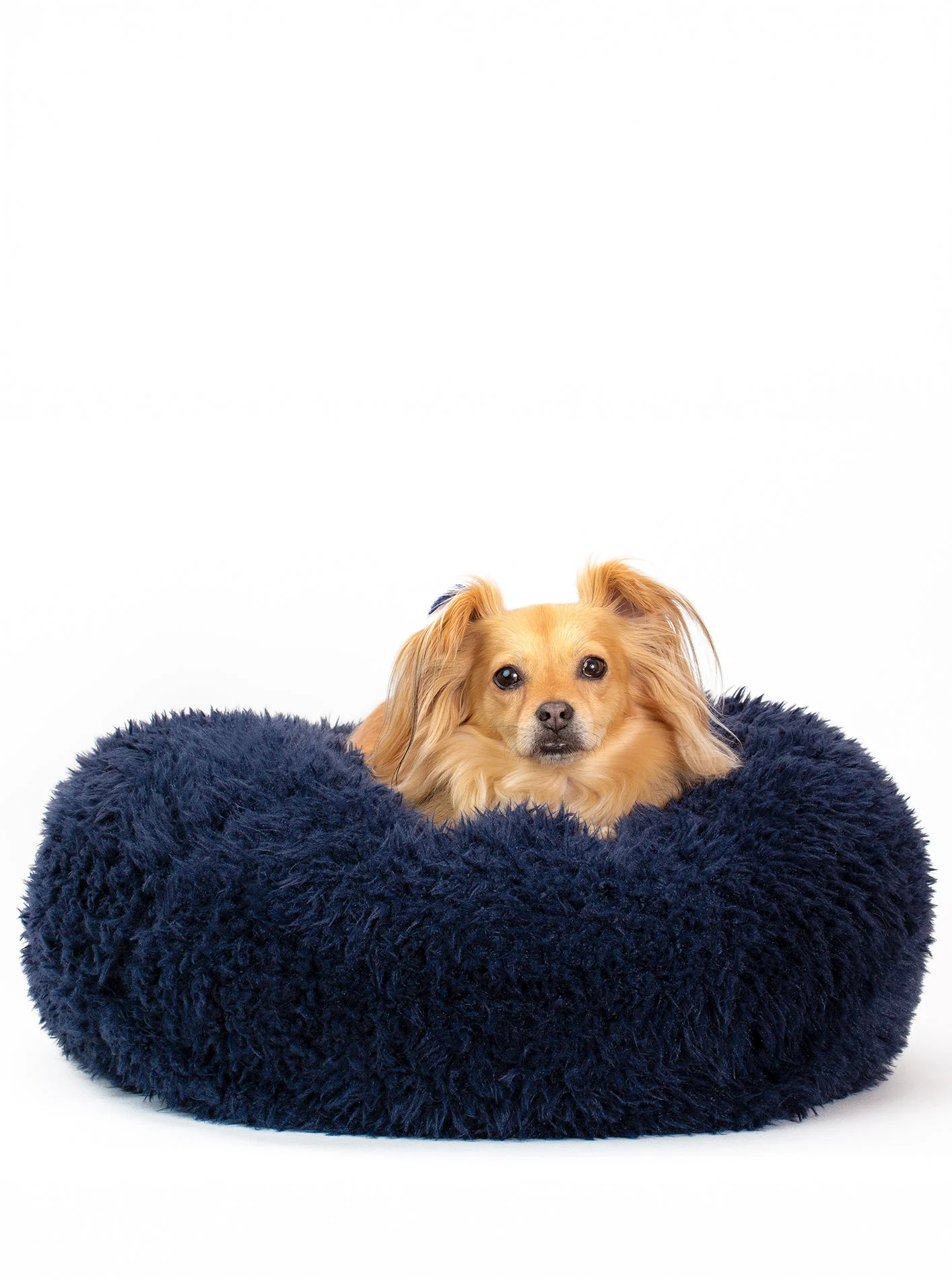 POD DOG BED - Image 15