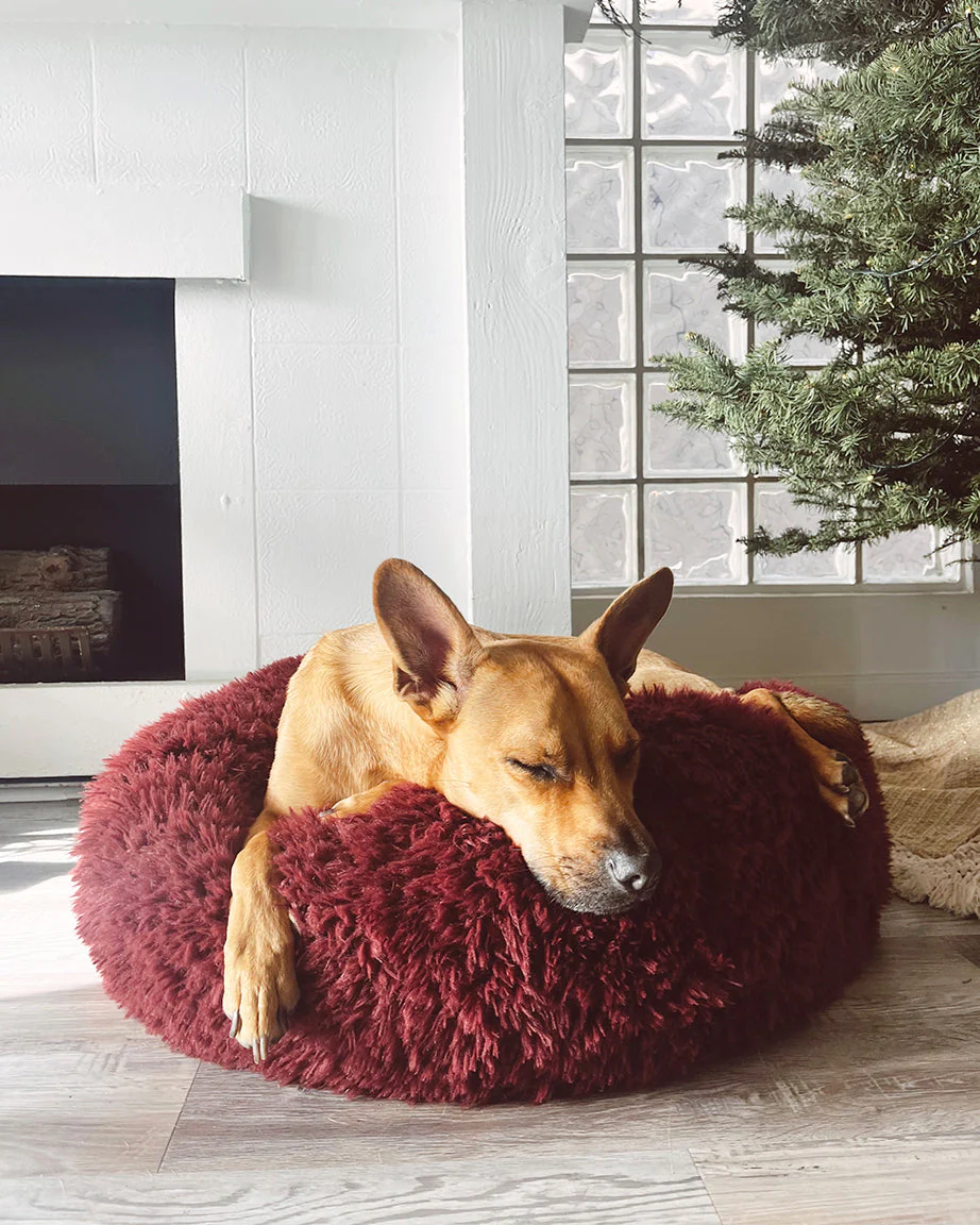 POD DOG BED - Image 18
