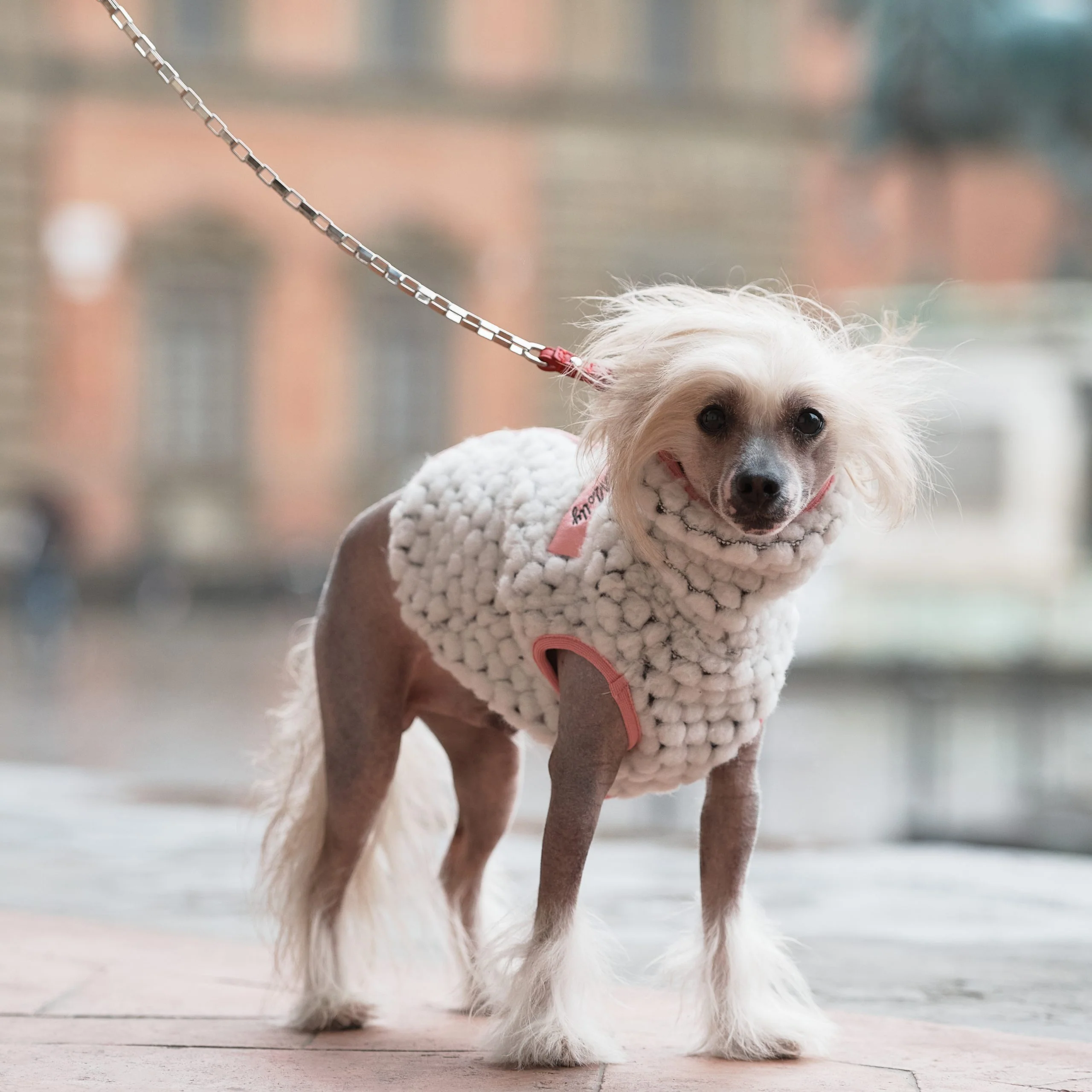 Pon-Pon Dog Sweater - Image 3