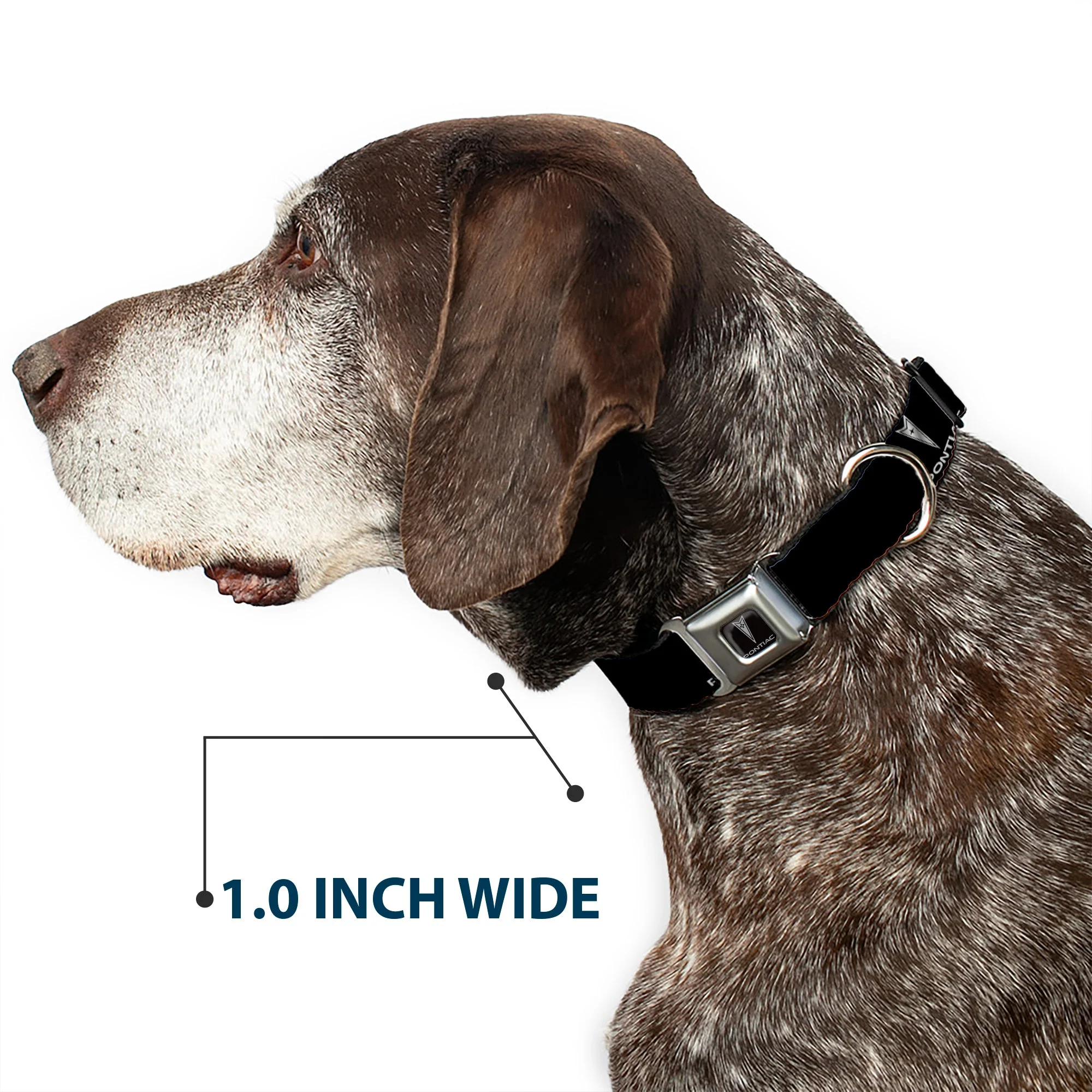Pontiac Seatbelt Buckle Collar - Pontiac Black/Silver Logo REPEAT - Image 6