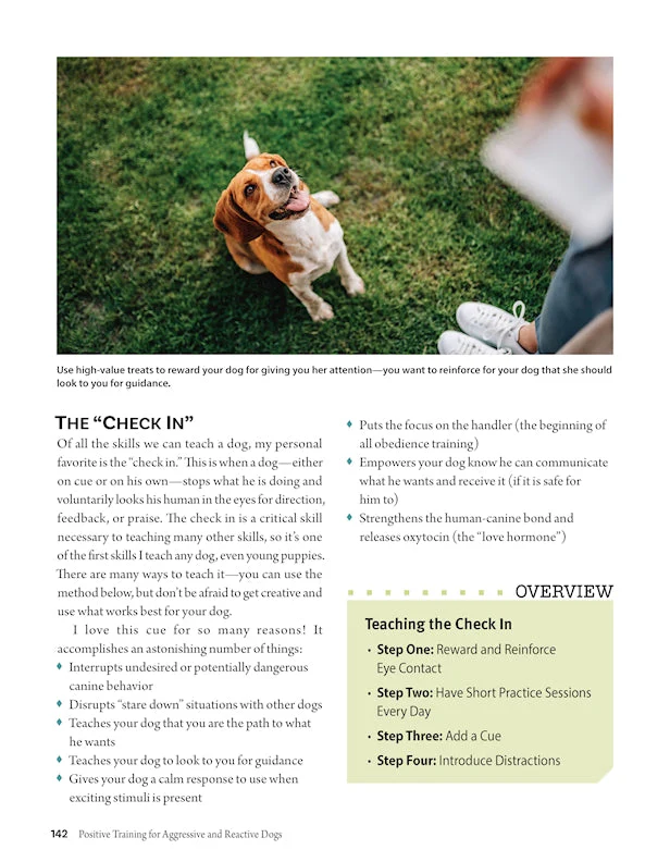 Positive Training for Aggressive and Reactive Dogs - Image 6