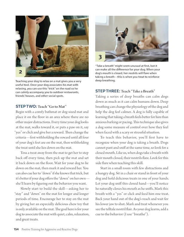 Positive Training for Aggressive and Reactive Dogs - Image 8