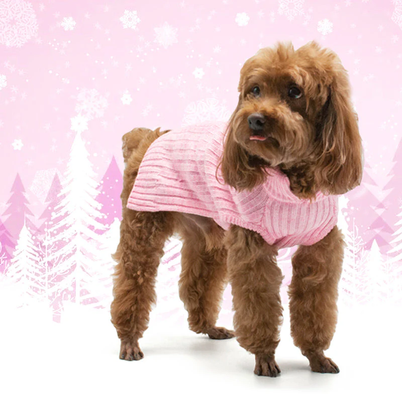 PP Basic Turtleneck Sweater - Image 20