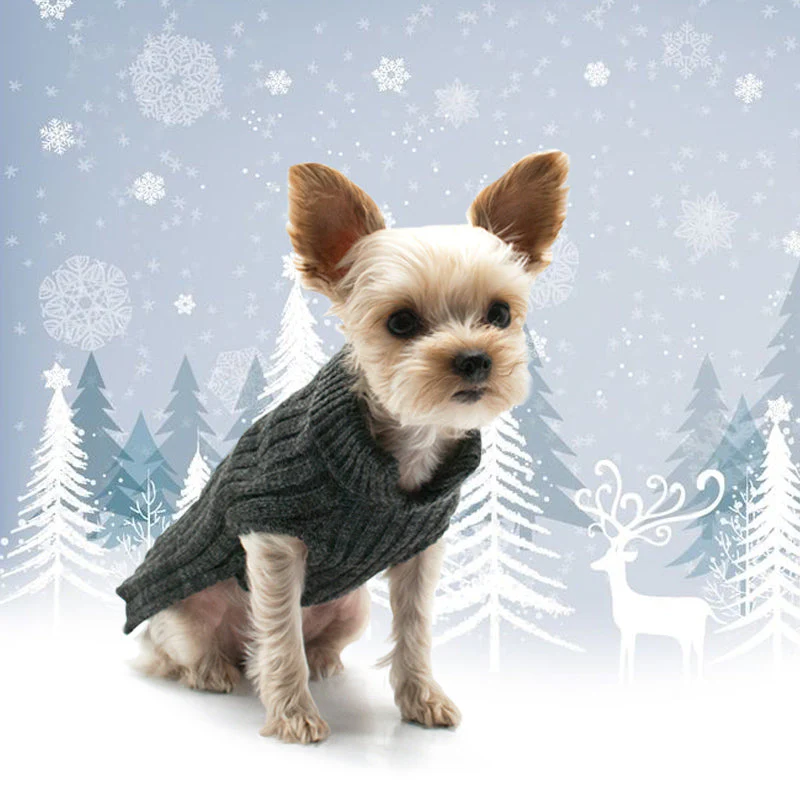 PP Basic Turtleneck Sweater - Image 22