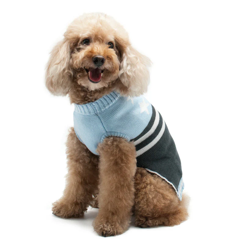PP Star & Stripe Sweater - Image 5