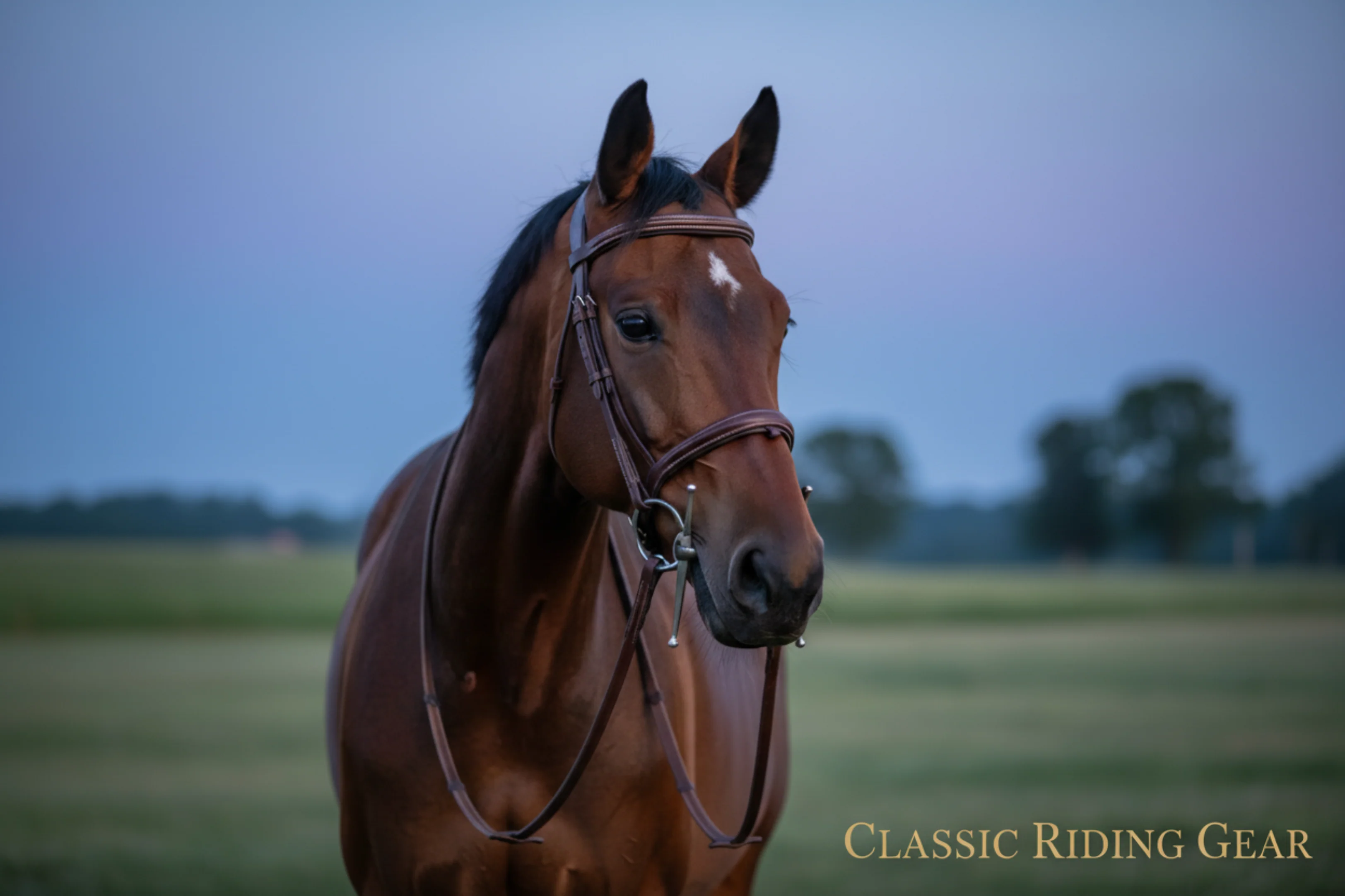Premium Quality Horse  Bit Stainless Steel - Image 3