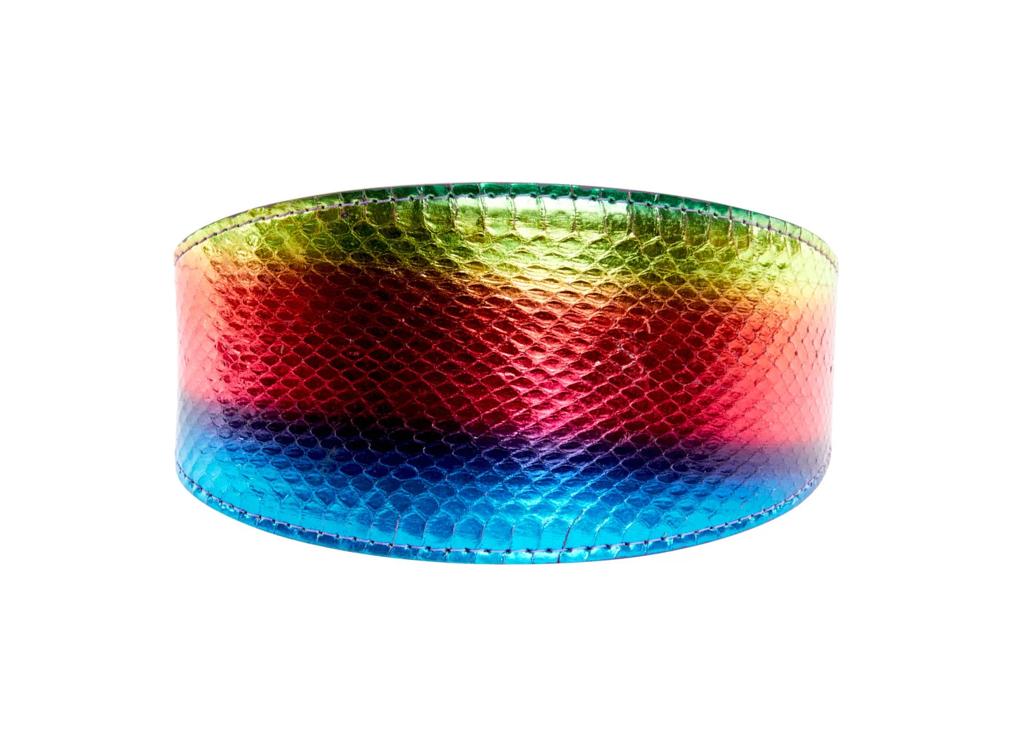 Pride Collection. Rainbow Snake 3” Wide Style Collar - Image 2