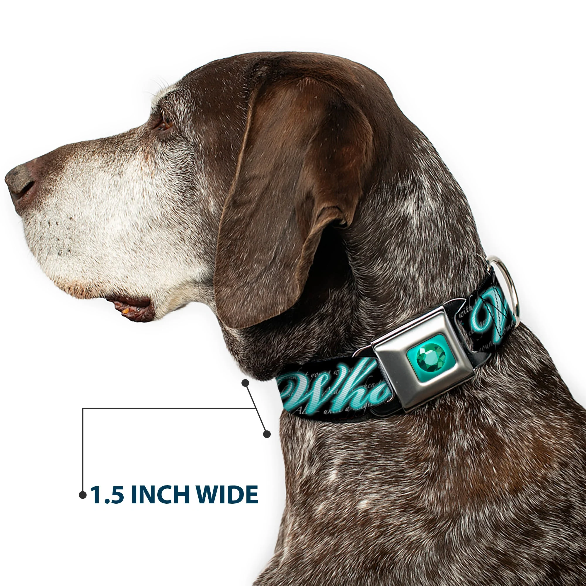 Princess Gem Full Color Turquoise Seatbelt Buckle Collar - Aladdin A WHOLE NEW WORLD/Story Script - Image 7