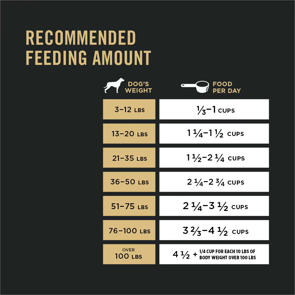 Pro Plan Adult 7+ Complete Essentials Shredded Blend Chicken & Rice Dry Dog Food (6lb) - Image 3
