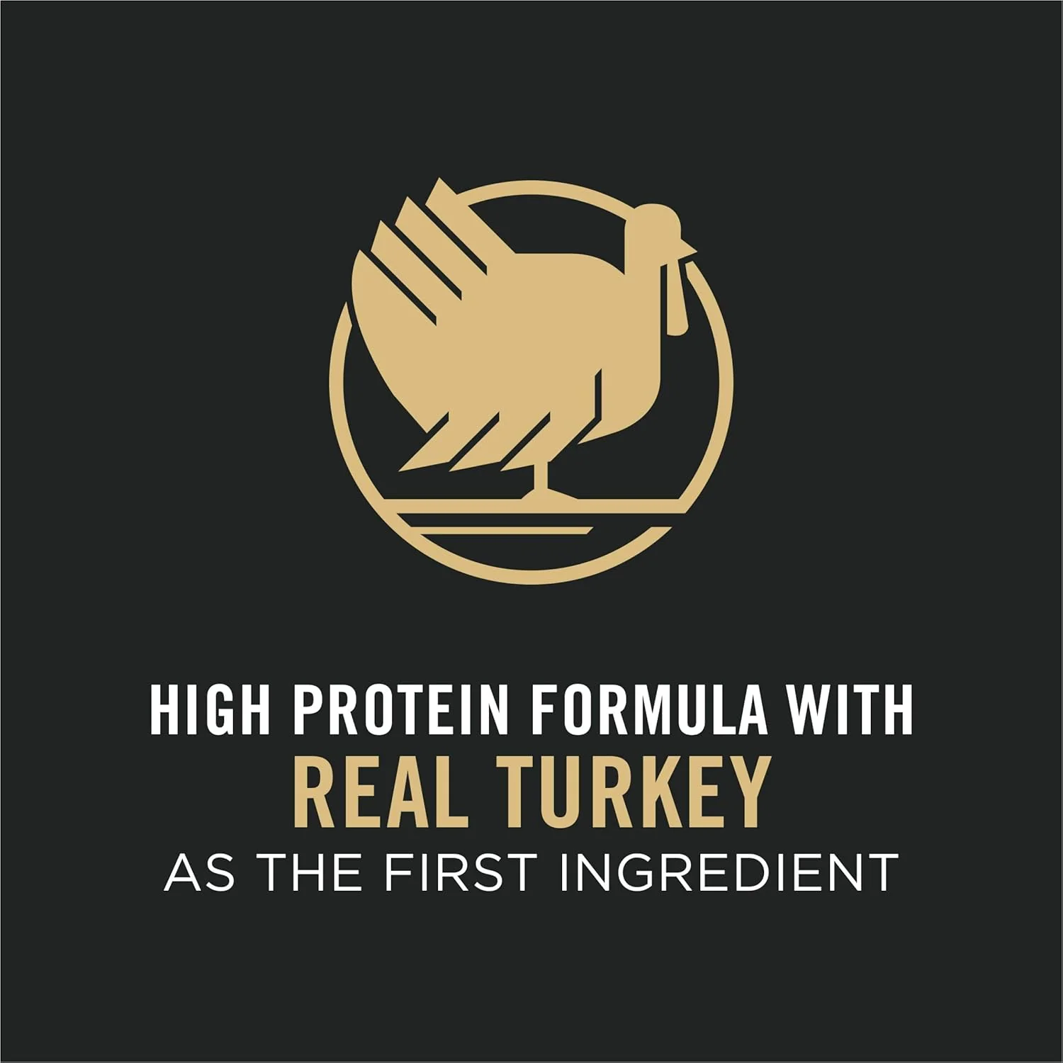 Pro Plan Adult Complete Essentials Turkey & Rice Probiotic Dry Dog Food - Image 4