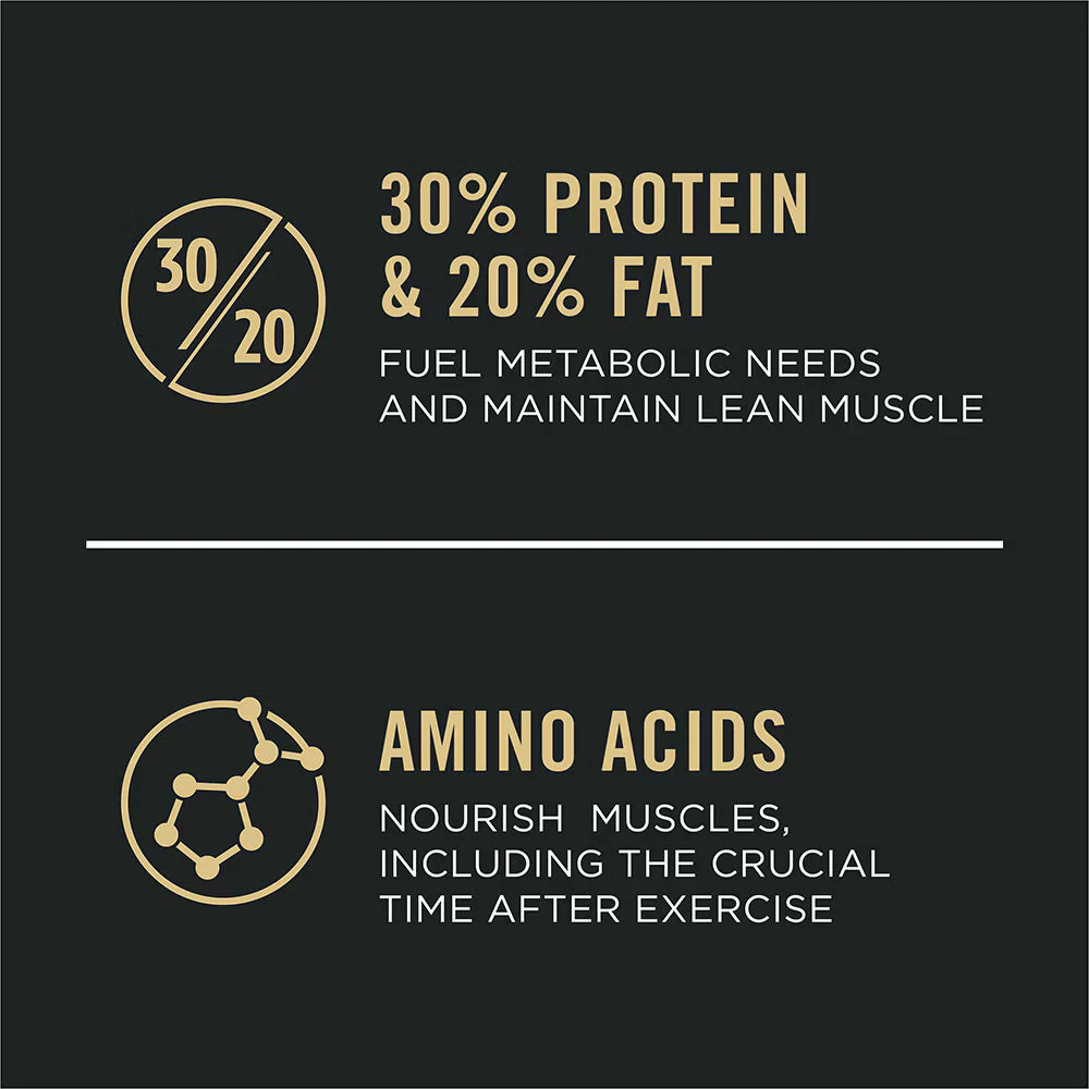 Pro Plan All Ages Sport Performance 30/20 Salmon & Rice Formula Dry Dog Food - Image 5