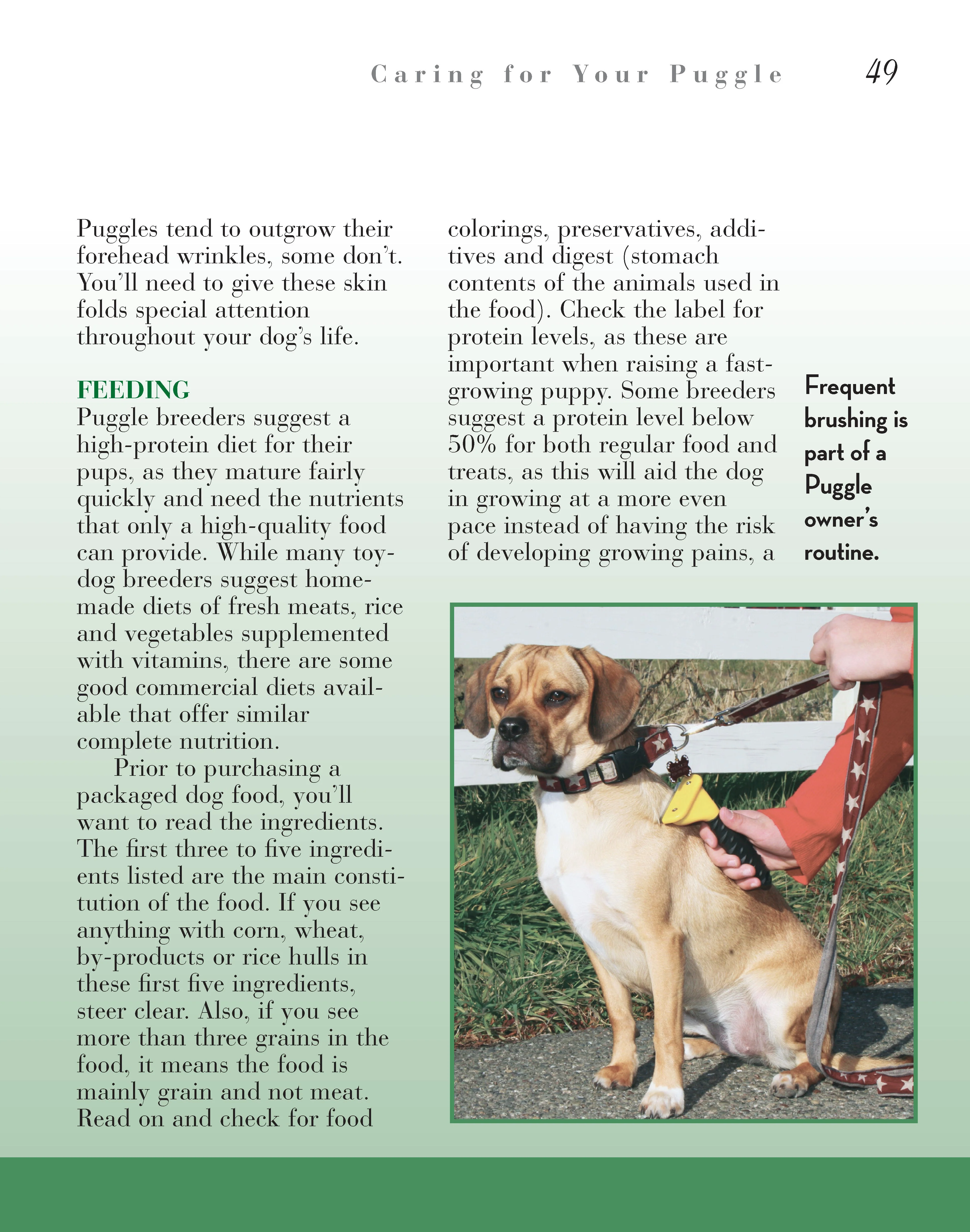 Puggle - Image 4