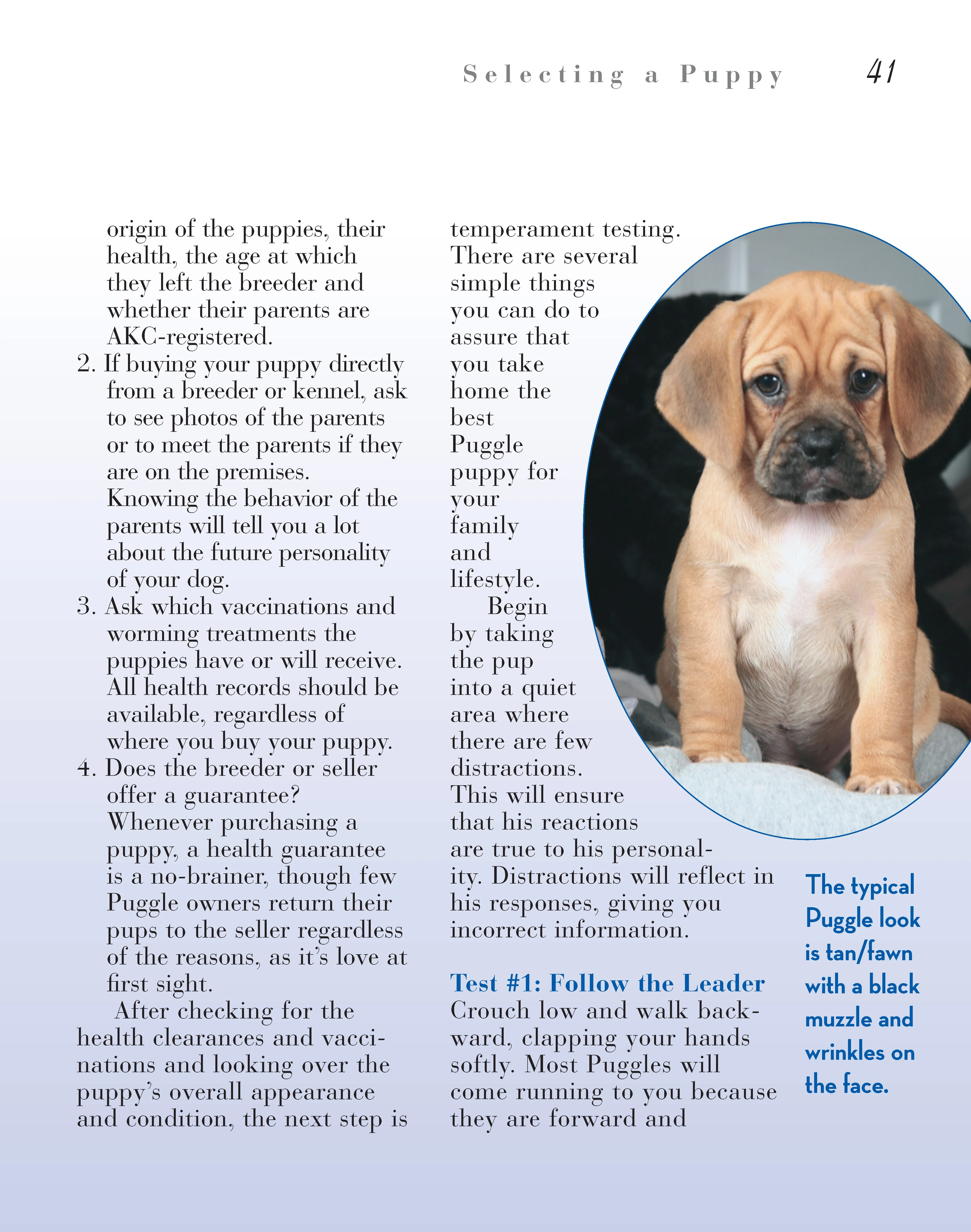 Puggle - Image 7