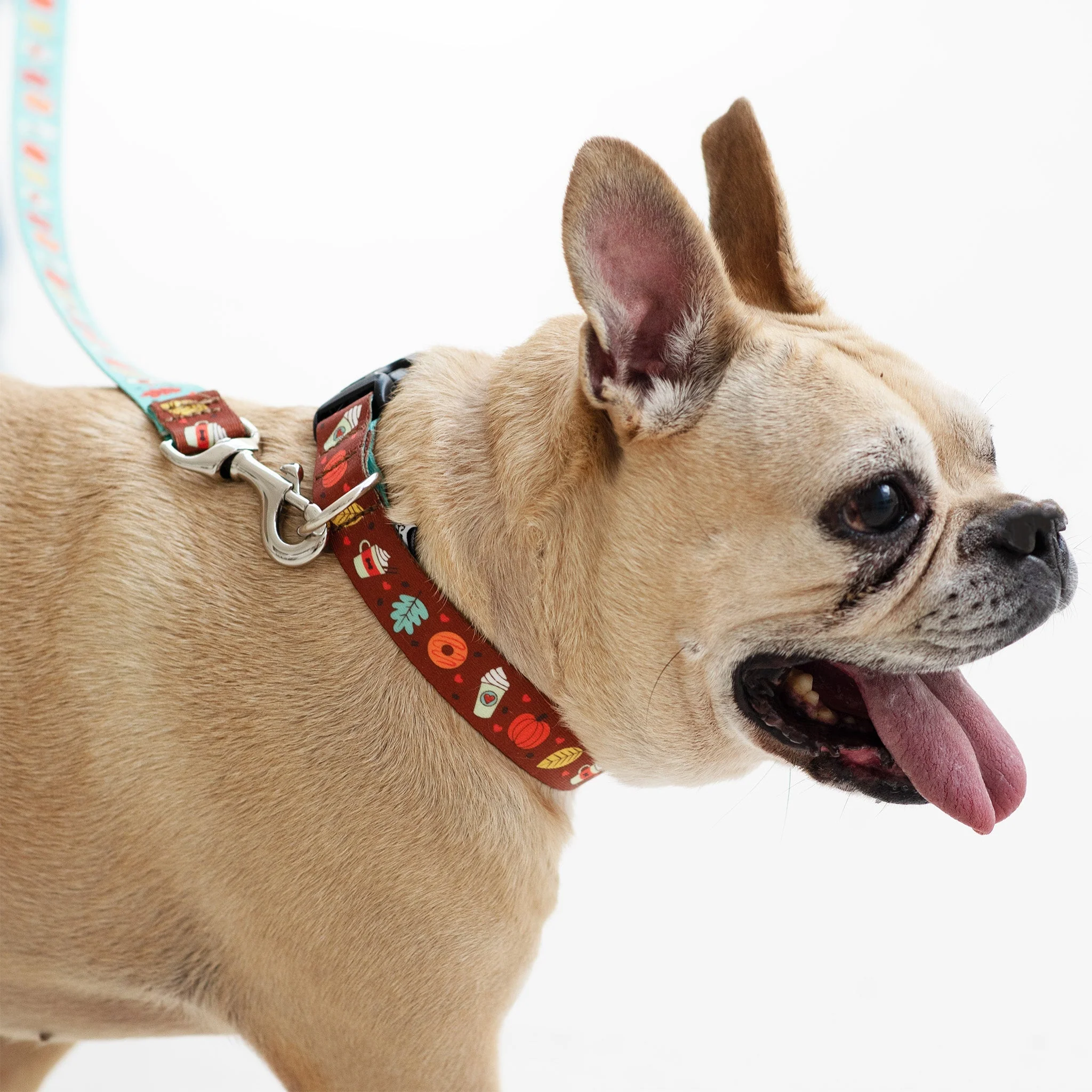 Up Country Pumpkin Spice Printed - Brown Made in USA Dog Collar - Image 2