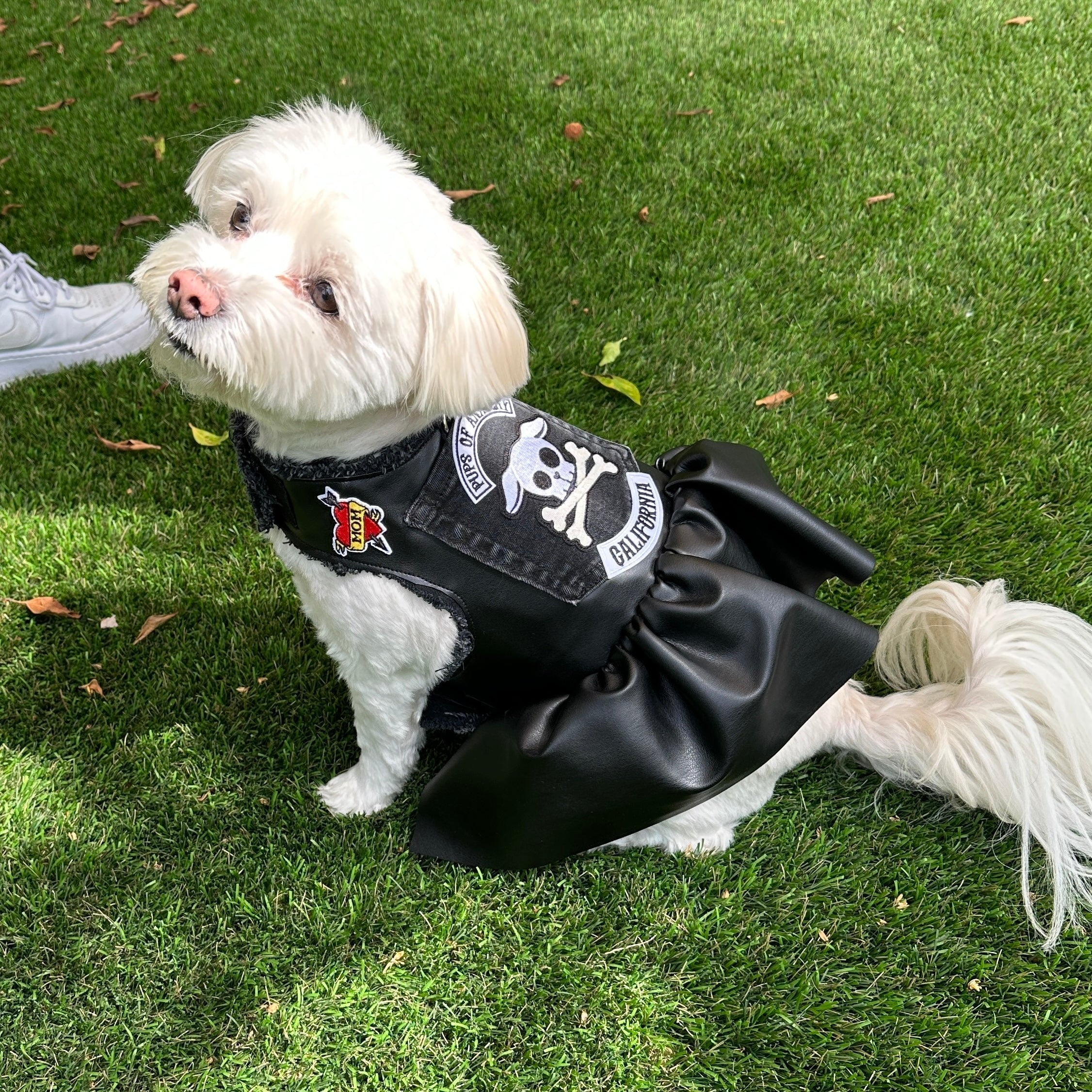Pups of Anarchy - Faux Leather Dress - Image 3