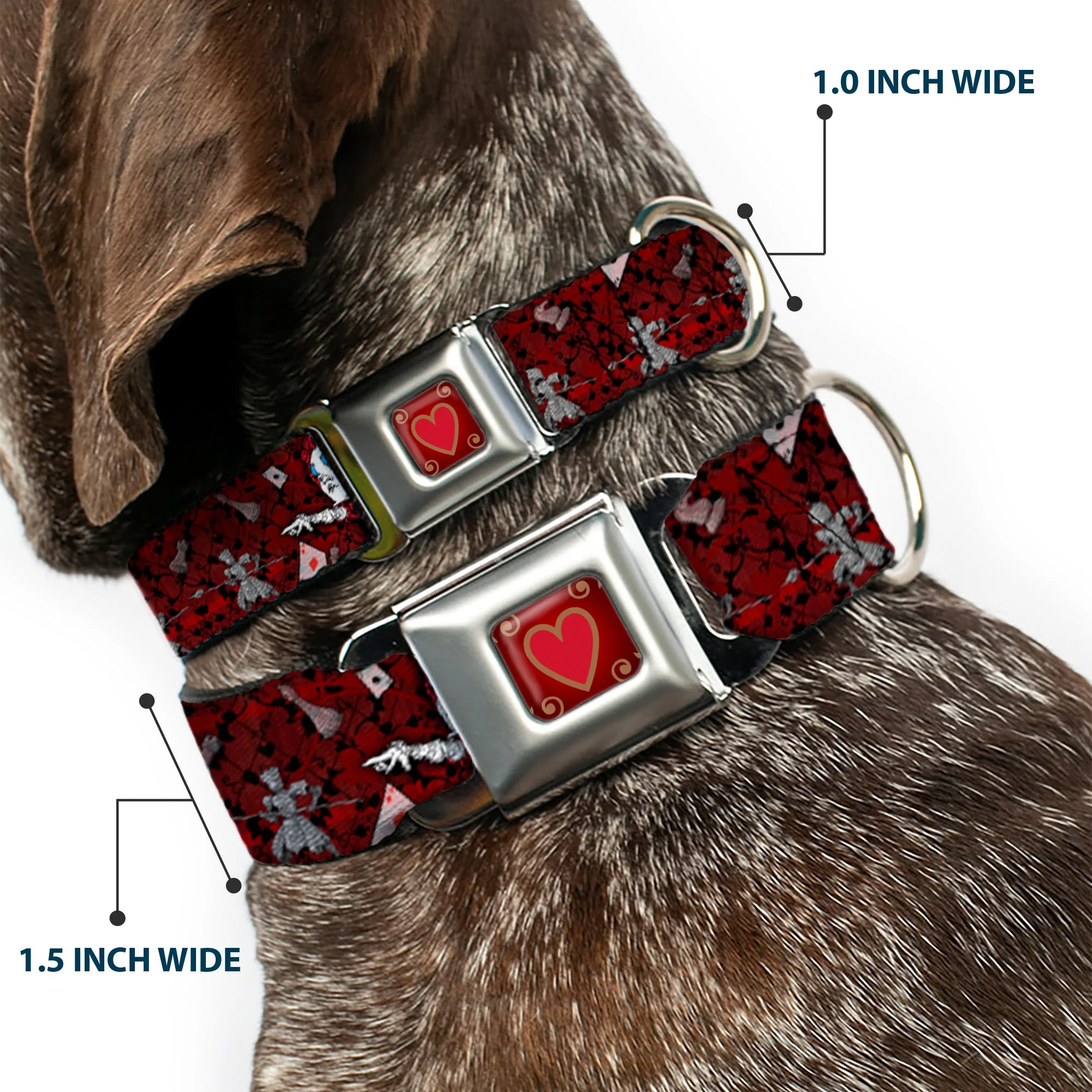 Queens Heart Full Color Reds Gold Seatbelt Buckle Collar - Queen of Hearts Poses/Hearts/Cards Reds/Black - Image 2