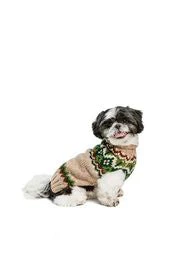 Ragg Wool Fair Isle Dog Sweater - Image 3