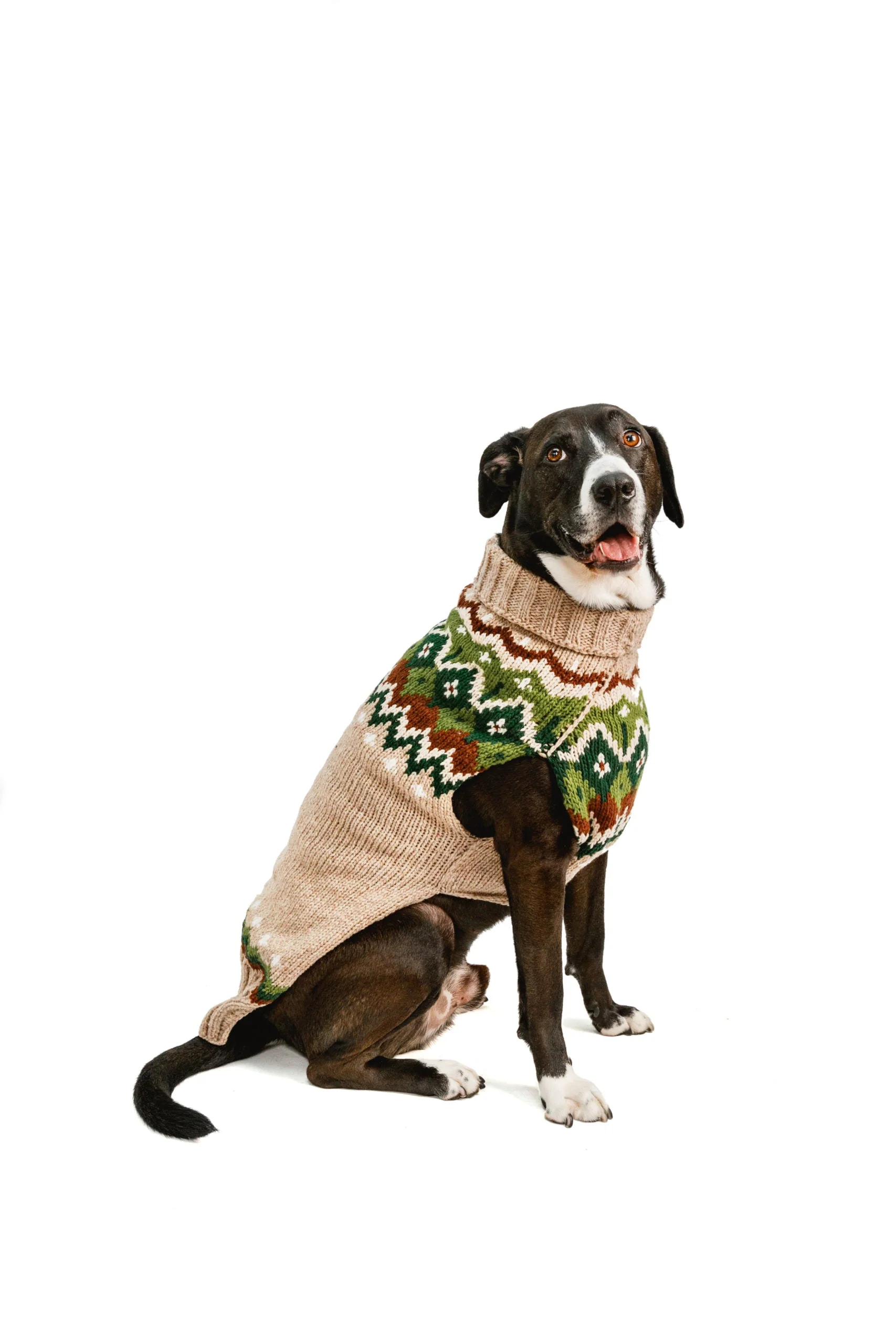 Ragg Wool Fair Isle Dog Sweater - Image 4