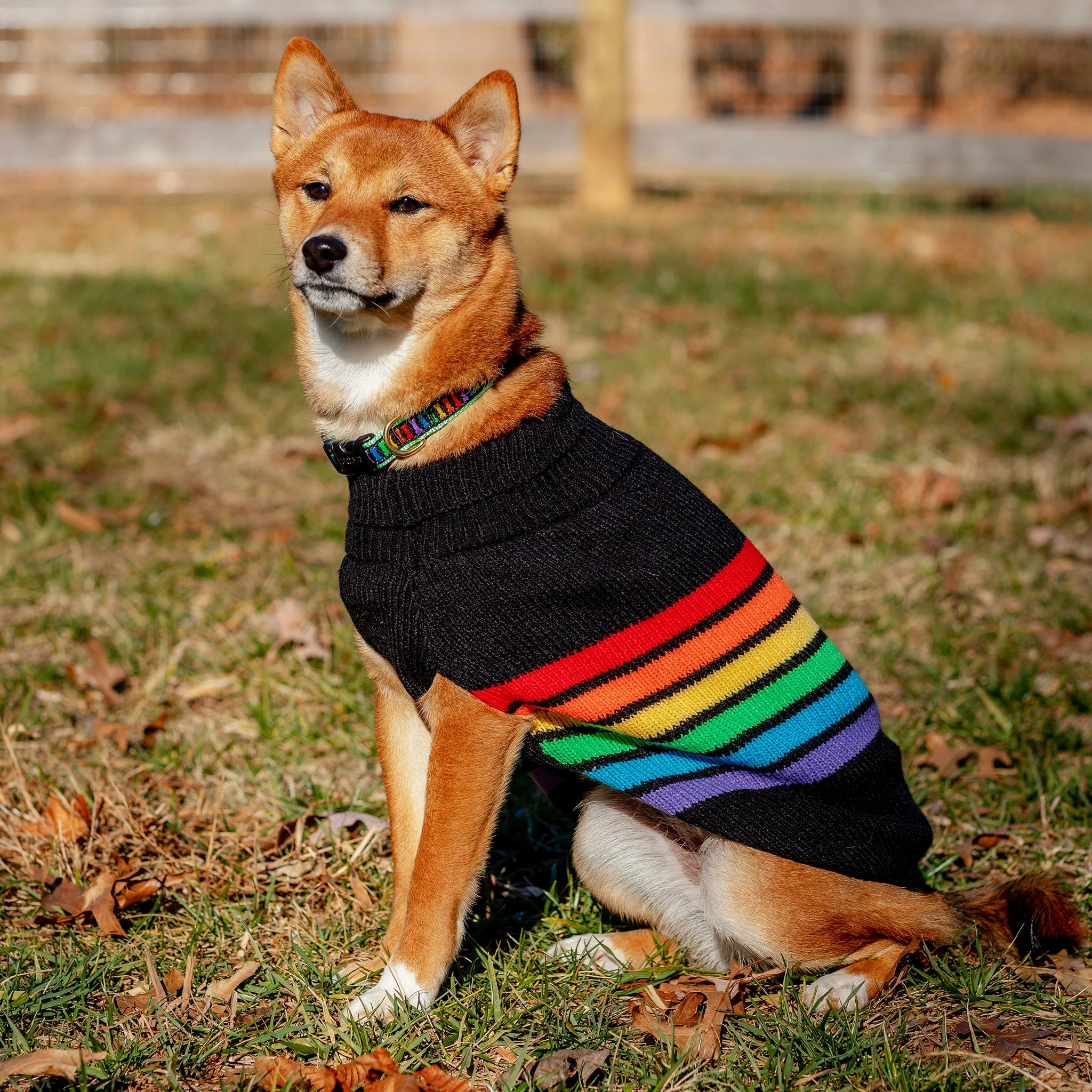 Up Country Rainbones Sweater Pet Accessory - Image 3
