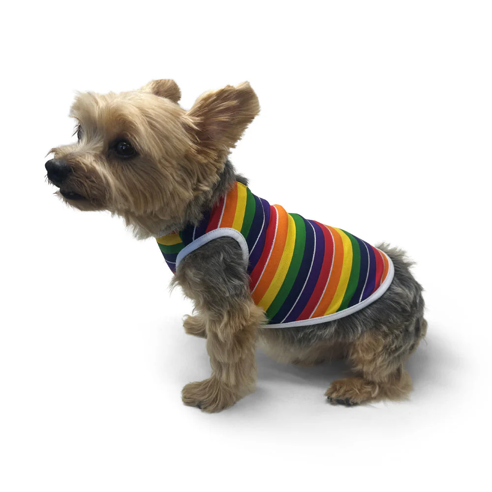 Rainbow Tank - Image 9