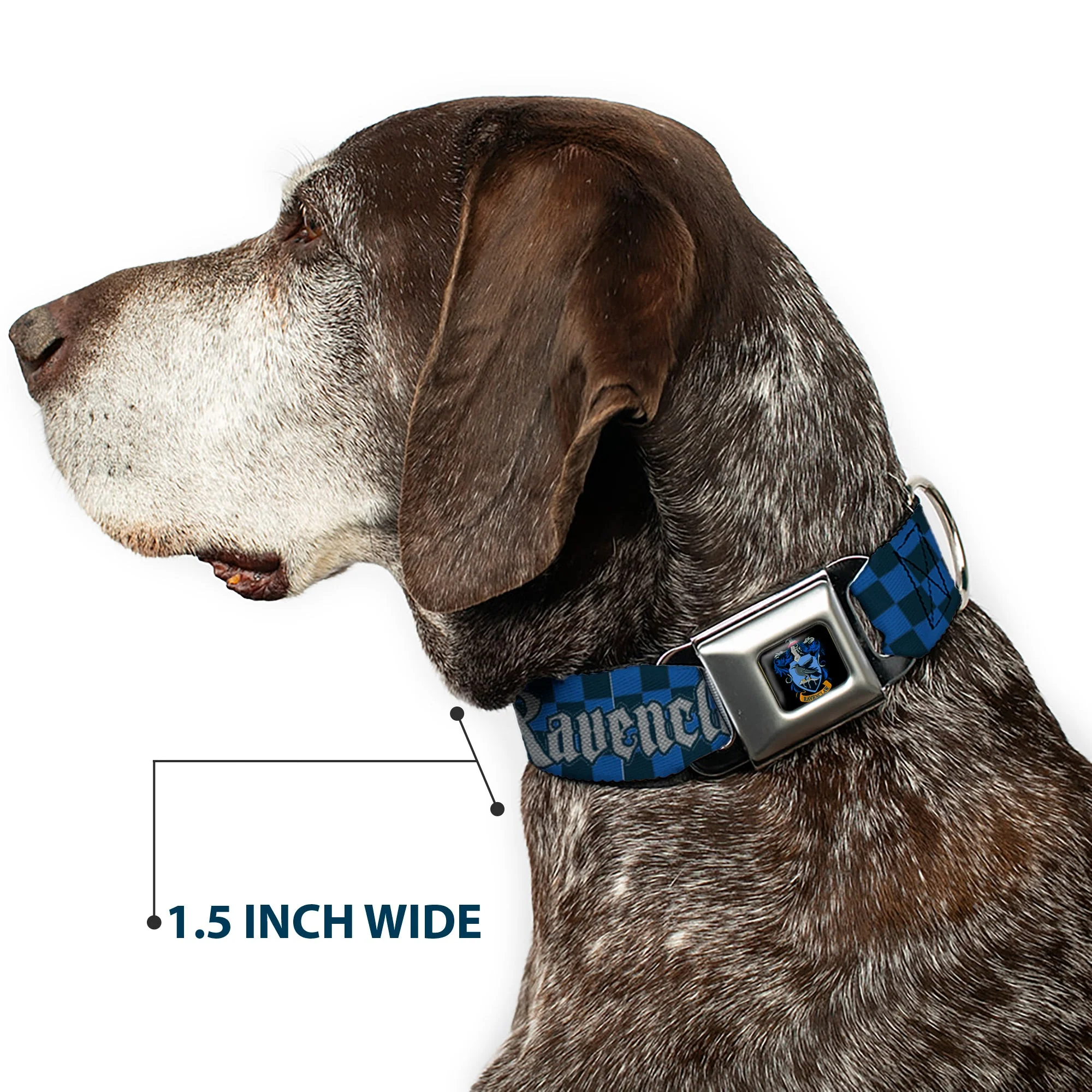Ravenclaw Crest Full Color Seatbelt Buckle Collar - Harry Potter RAVENCLAW Checker Blues/Grays - Image 7