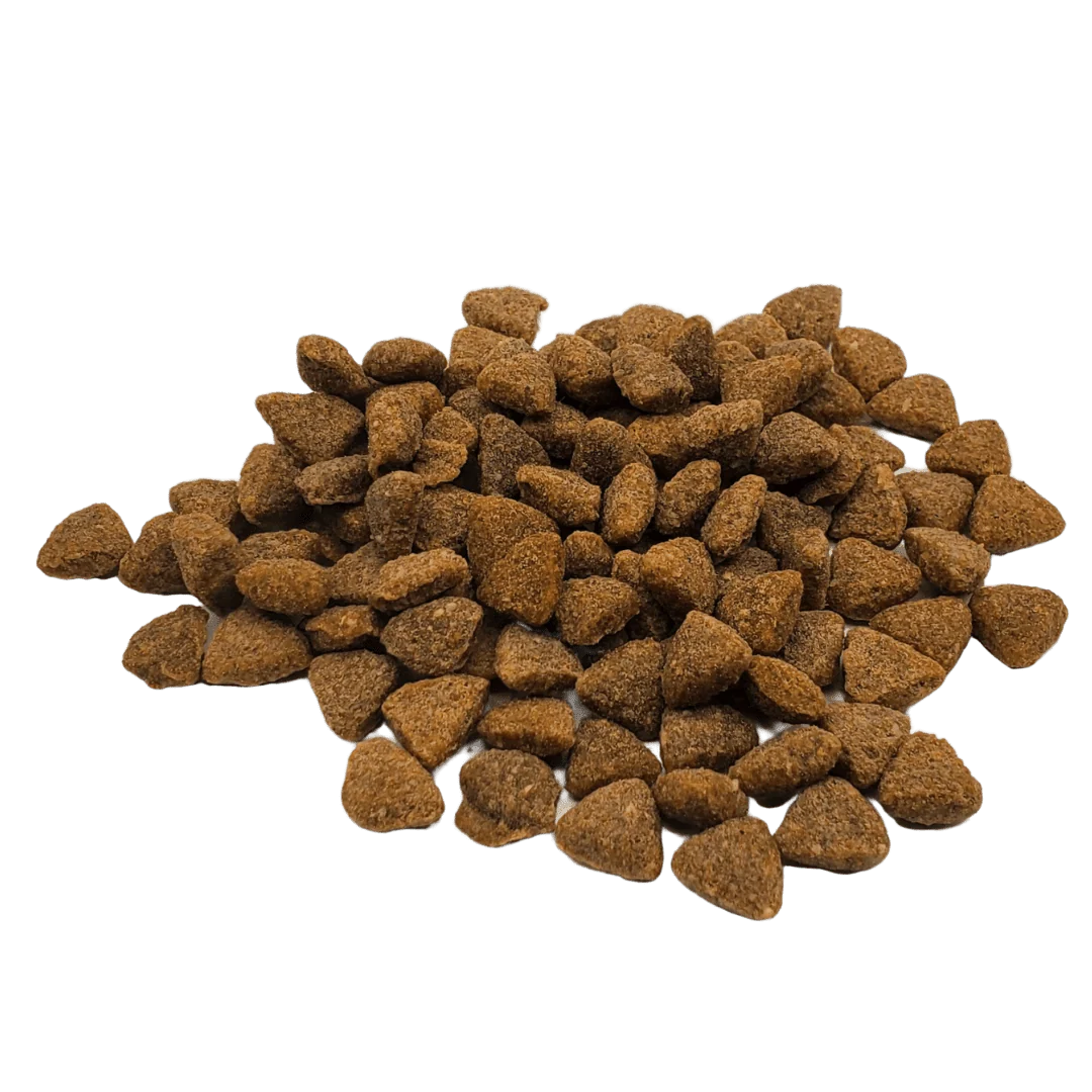 Rawz Salmon, Dehydrated Chicken & Whitefish Cat Food Recipe Dry Cat Food - Image 3
