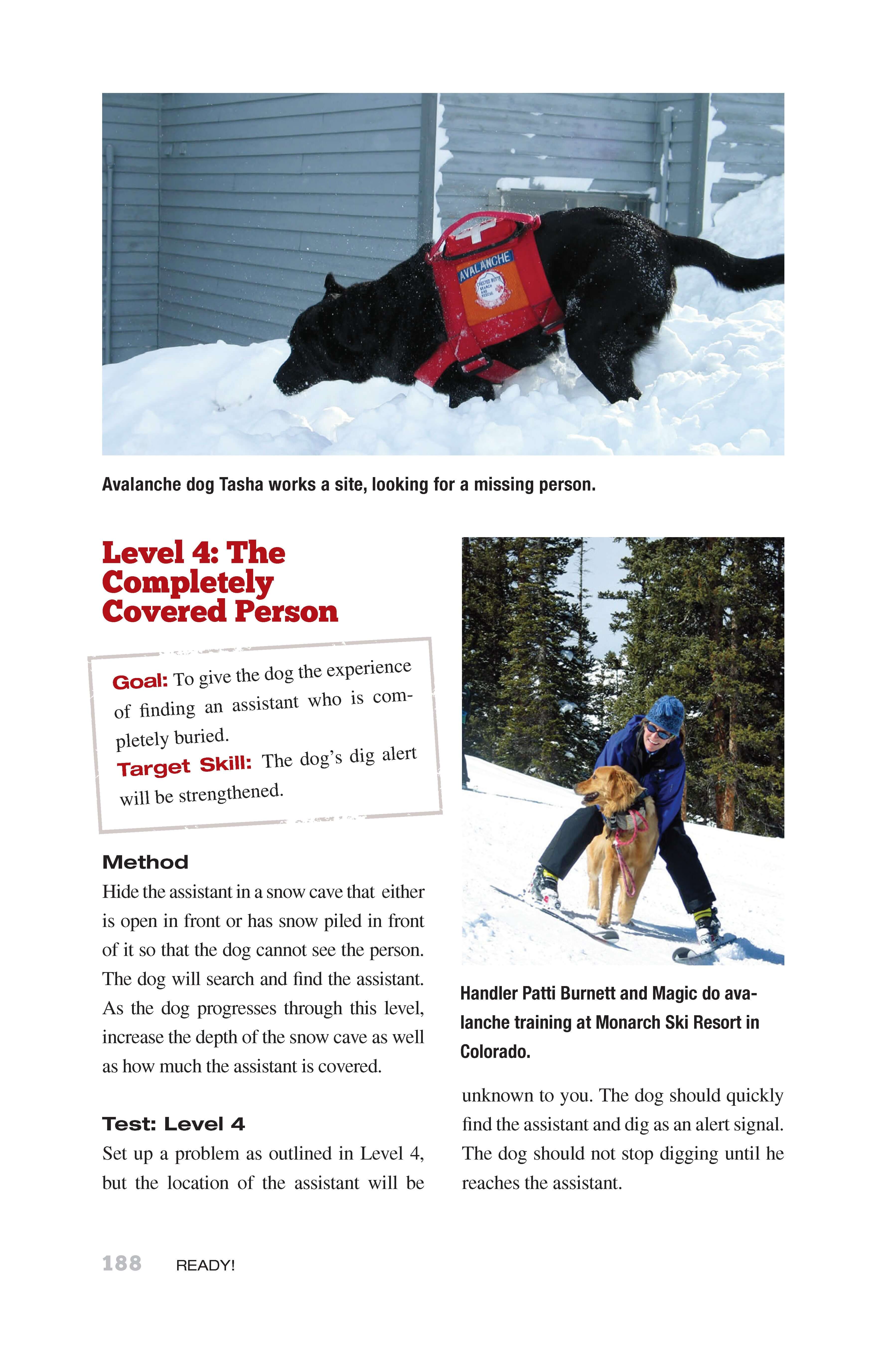 Ready! Training the Search and Rescue Dog - Image 2