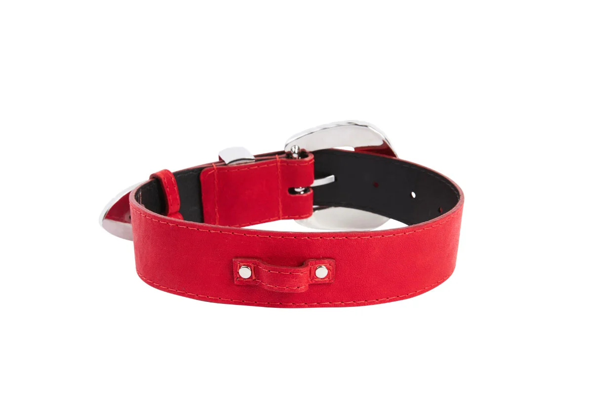 Red Distressed Italian Leather With Silver Ornate Swarovski Hardware - Image 3