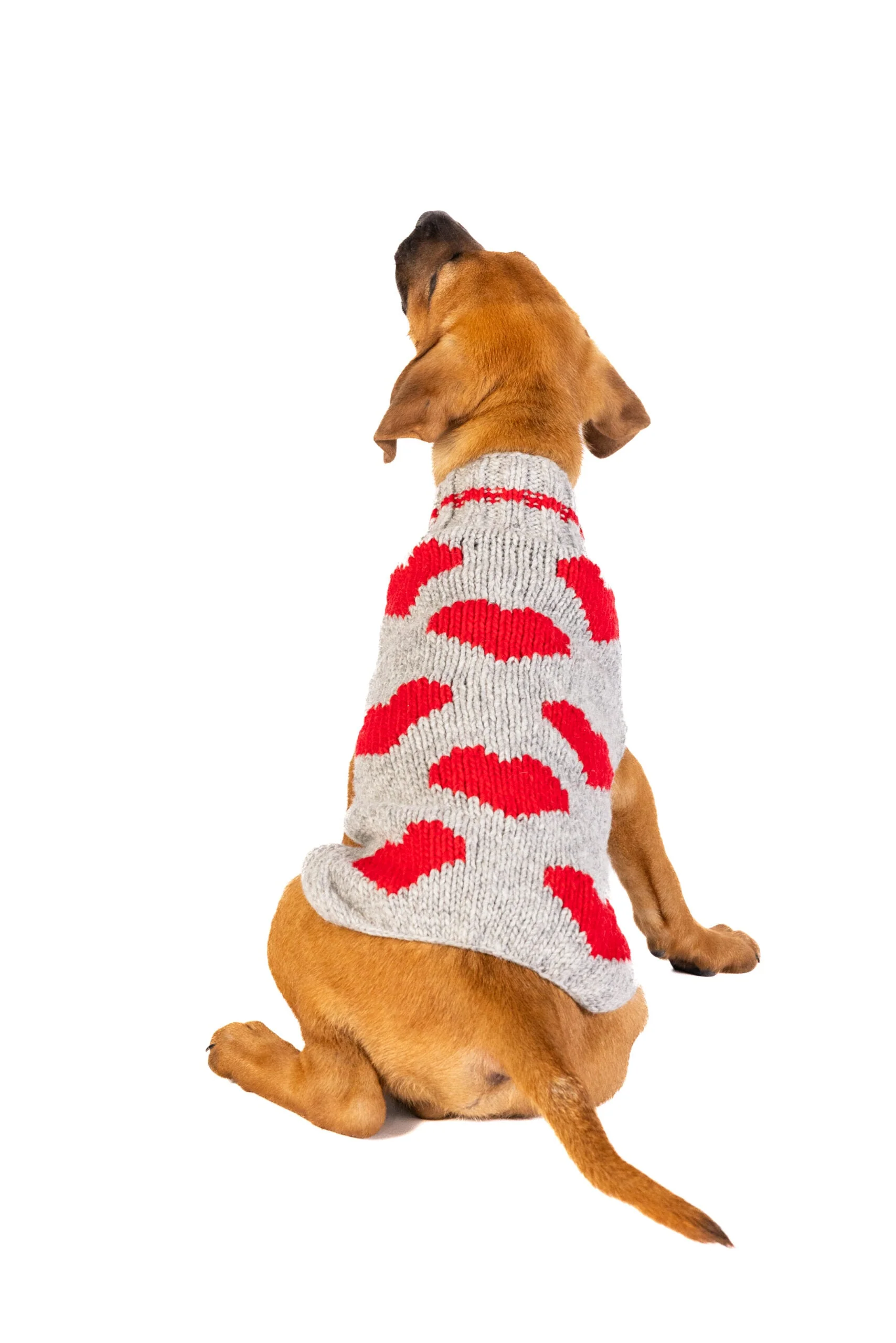 Red Hearts Dog Sweater - Image 3